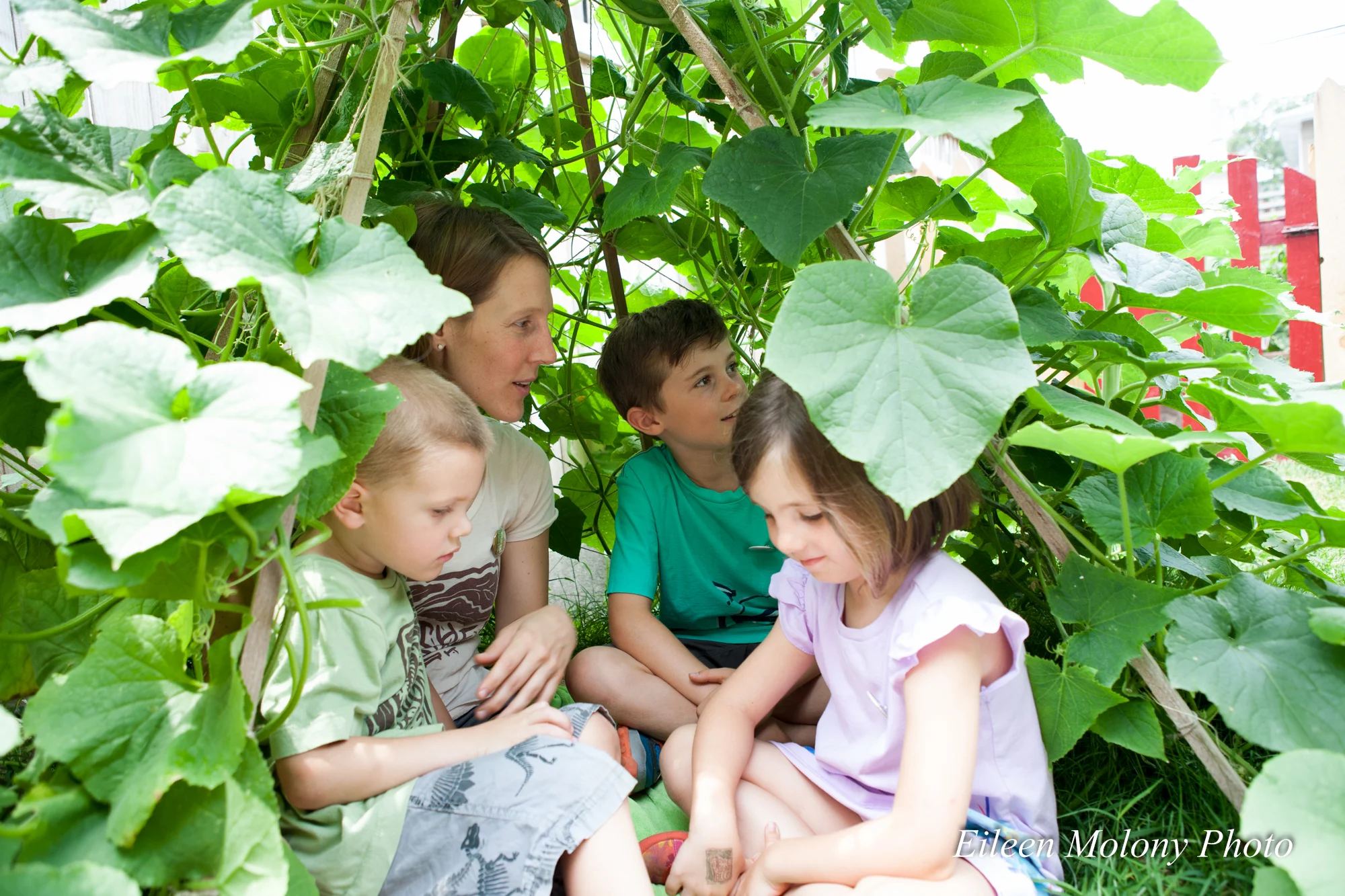 EGT2014 Kinder Garden- Eileen Molony-0117.jpg