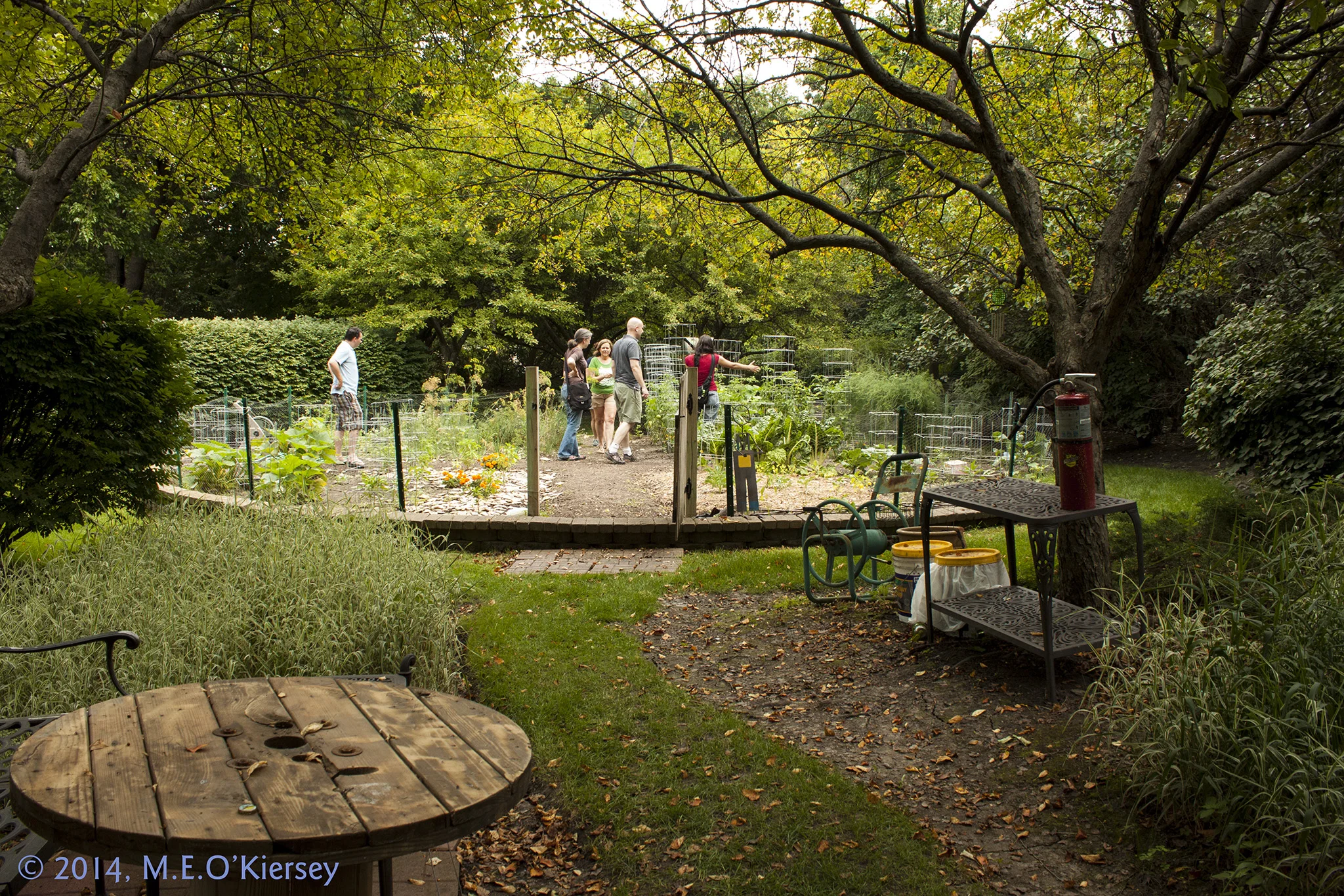 20140726-SB_Garden_Tour-Dominican-MEOK-6407.jpg