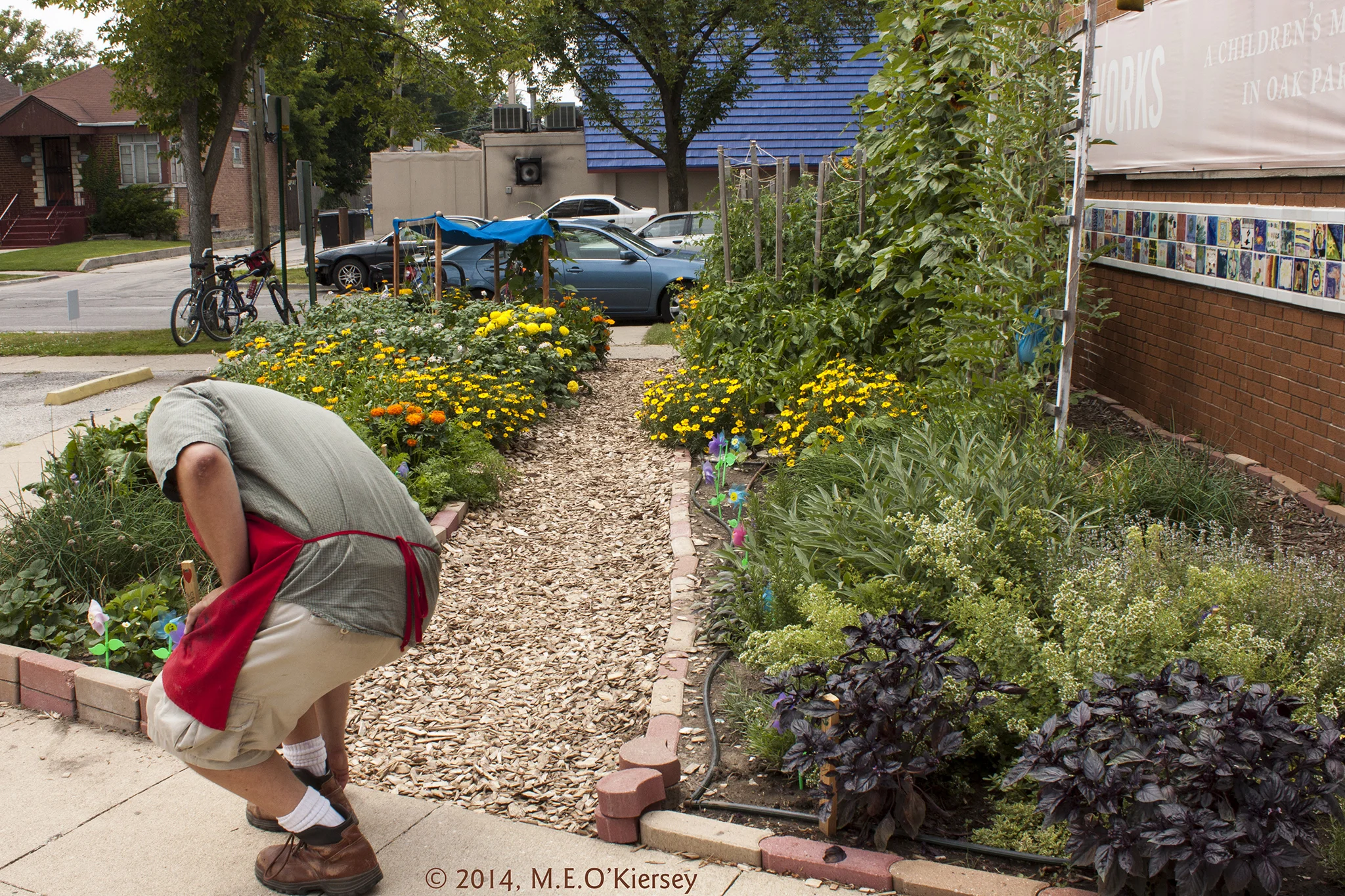 20140726-SB_Garden_Tour-WW_Childrens-MEOK-6410.jpg