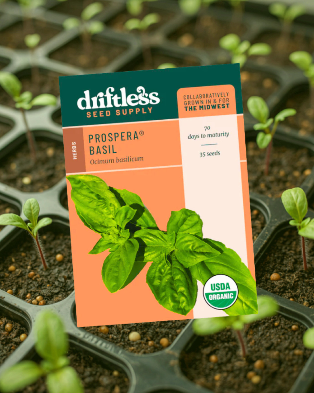 Seed Starting Class - Owner Fee (SAVE $5)