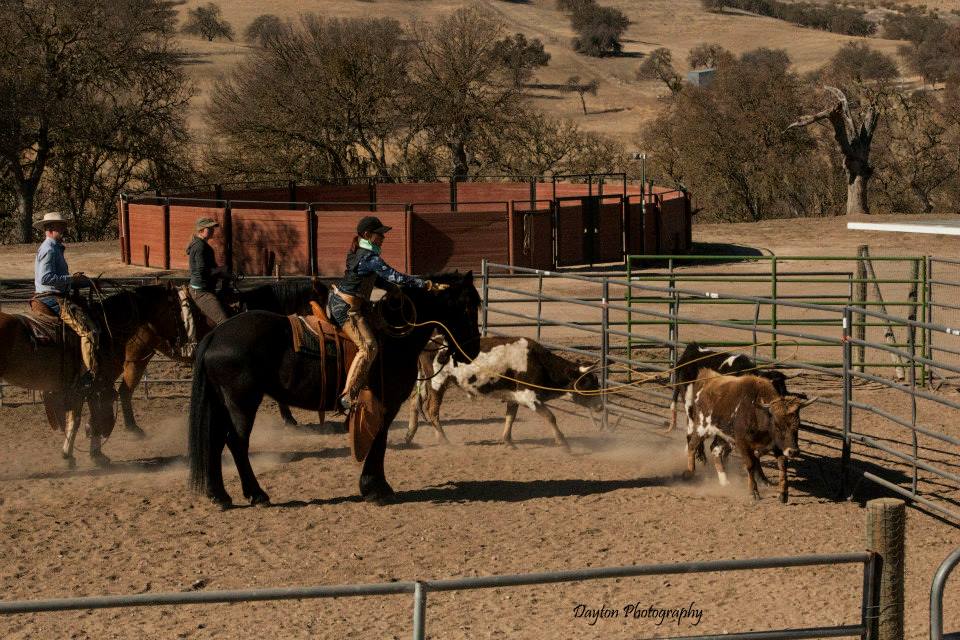 Ranch Roping, yep, I'll try to master this, too