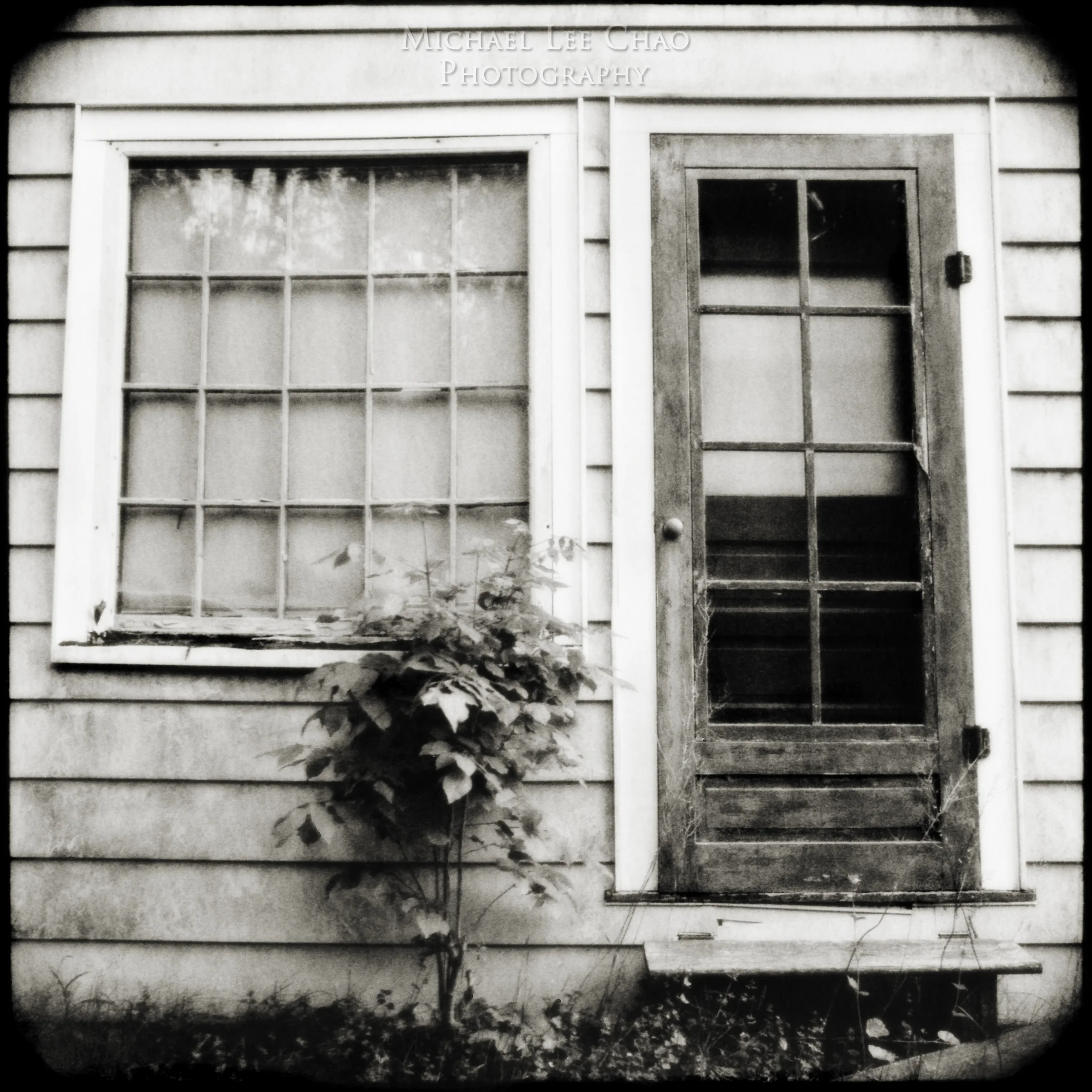 pola-door.jpg