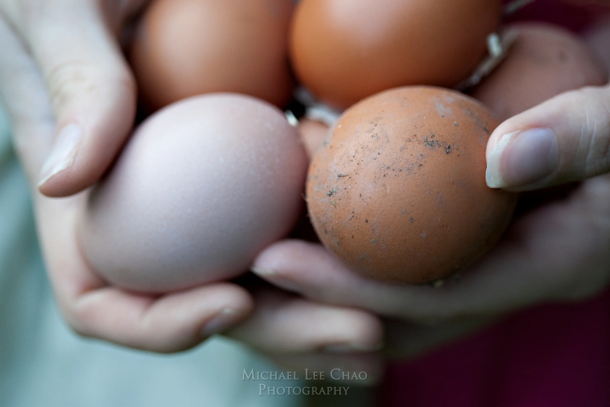 eggs-6167.jpg