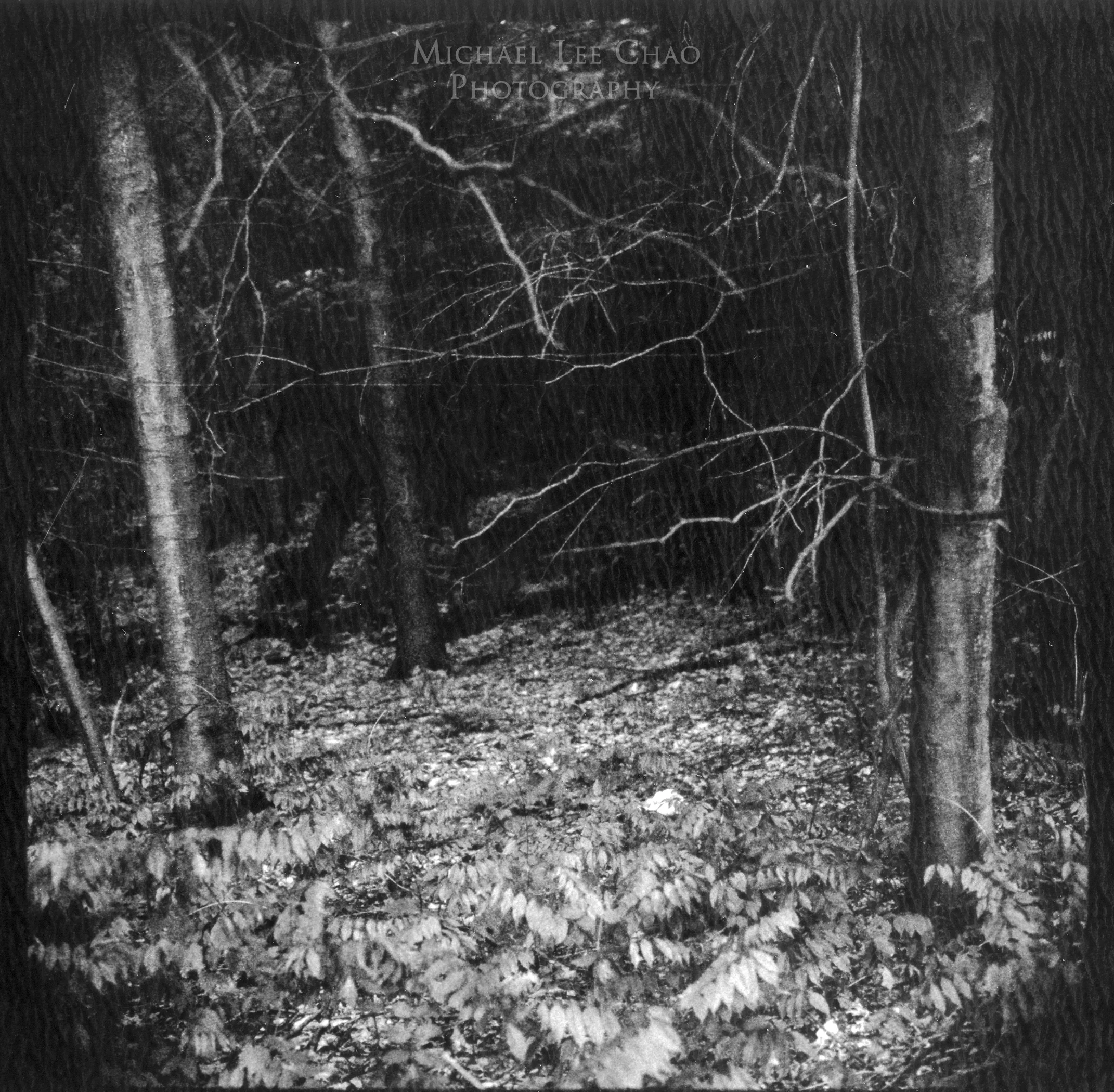 Polaroid-008.jpg