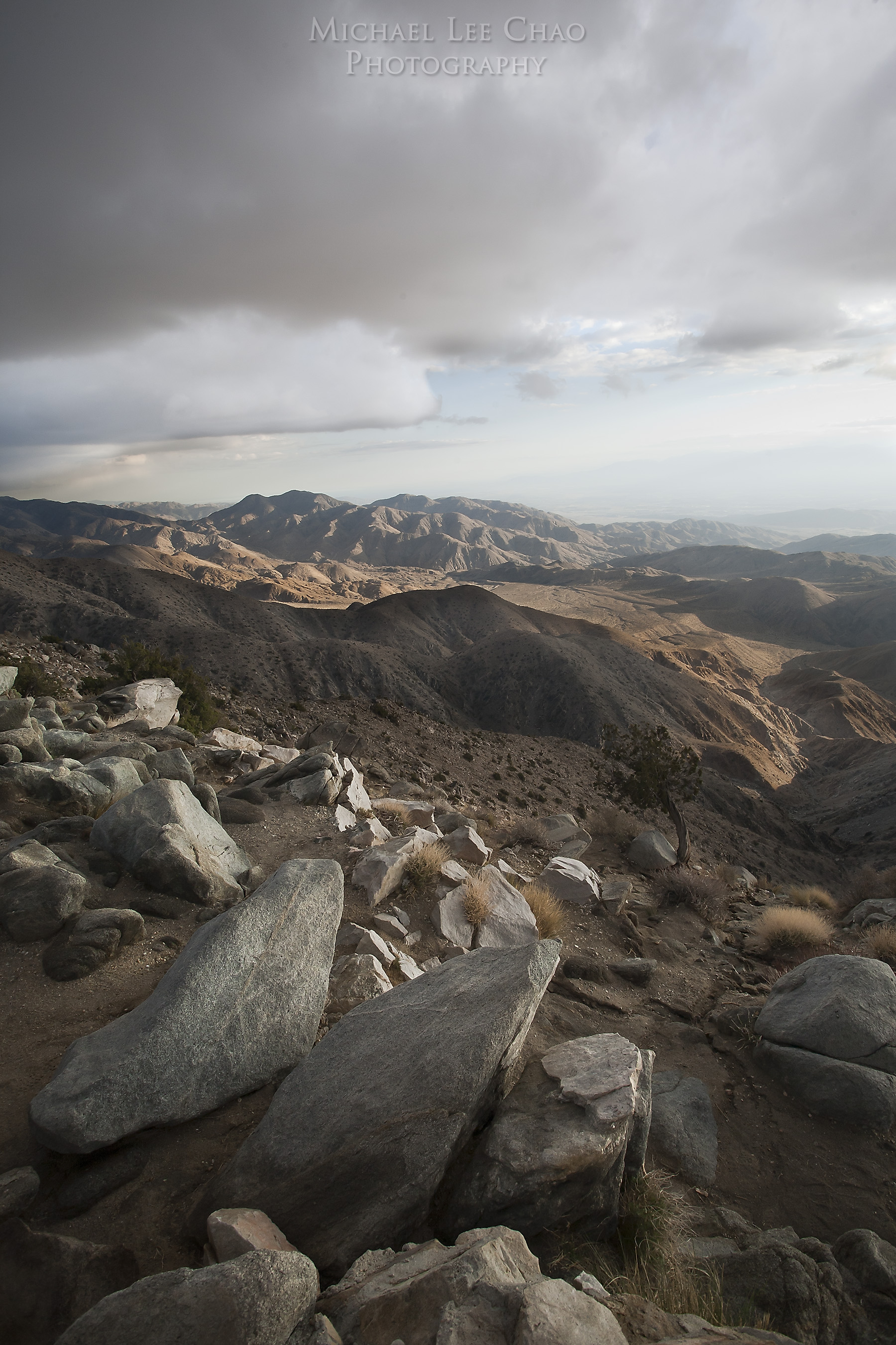joshuatree_8990.jpg