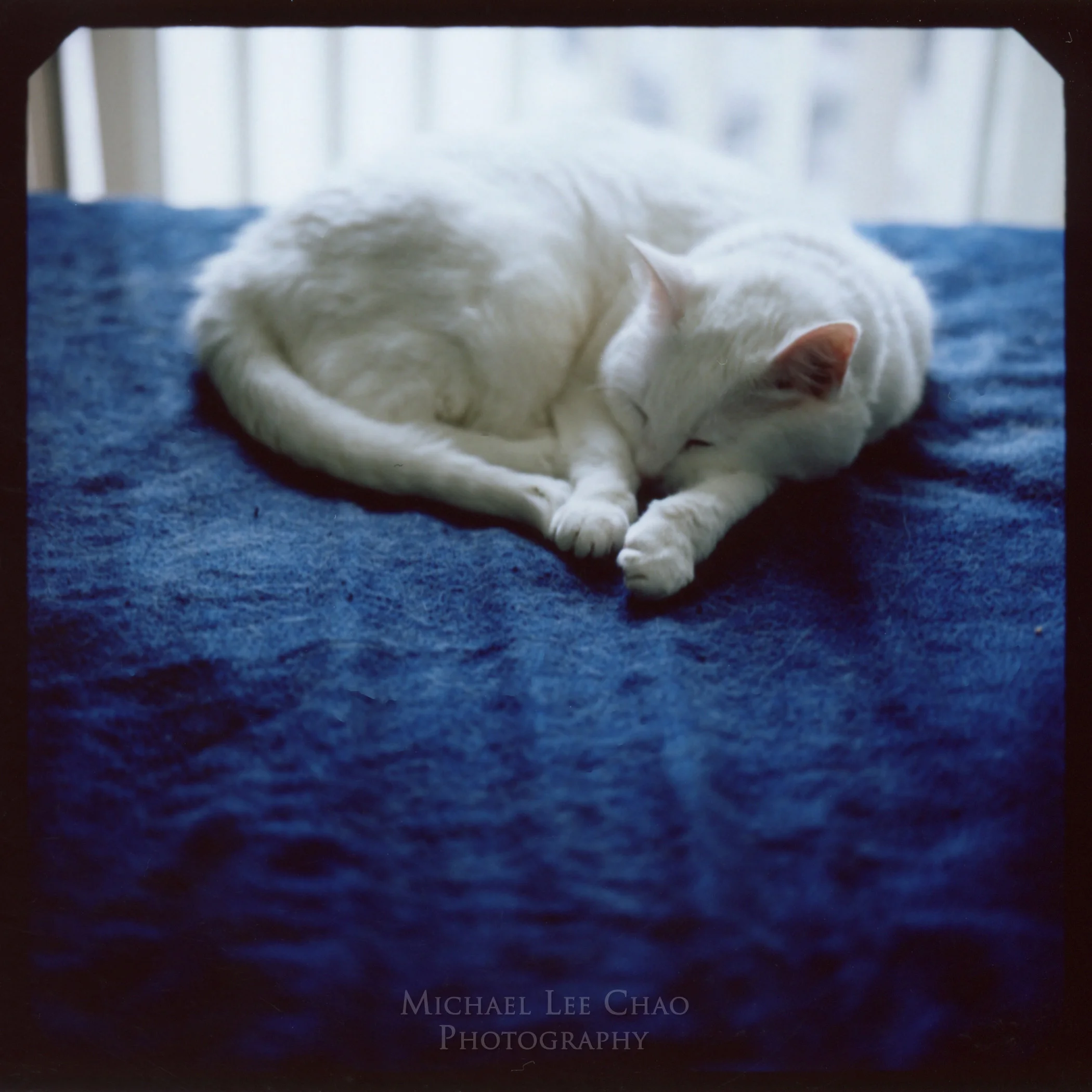 Polaroid-029.jpg