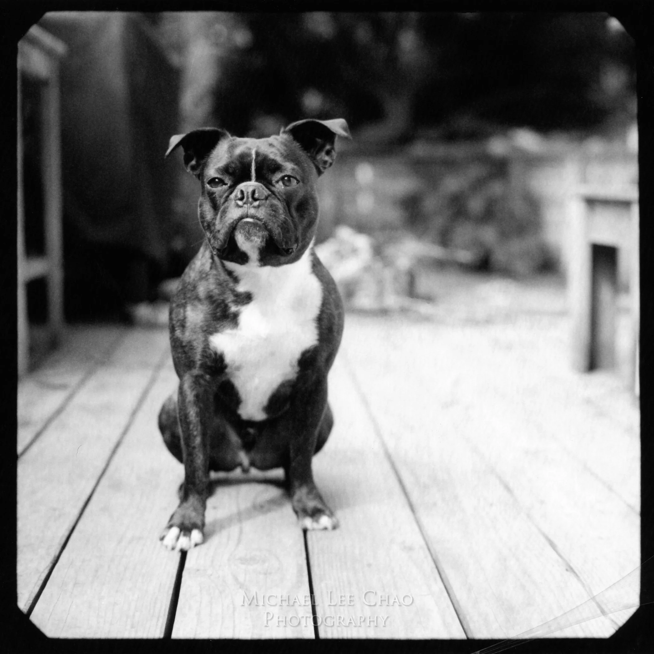 Polaroid-010.jpg