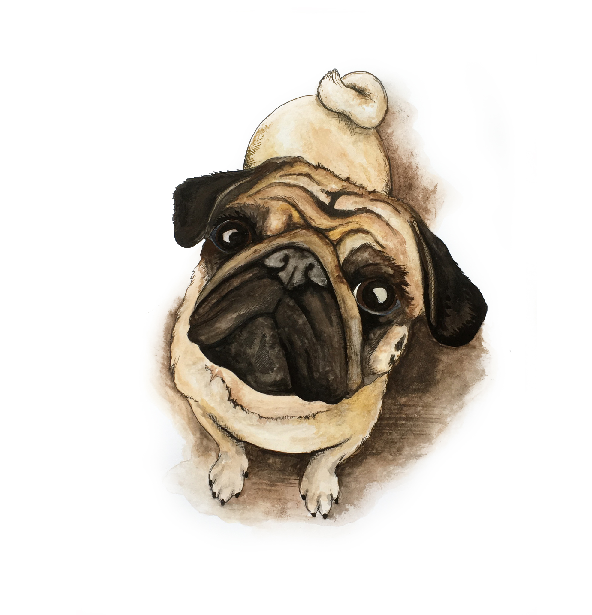 JoeyThePug.jpg