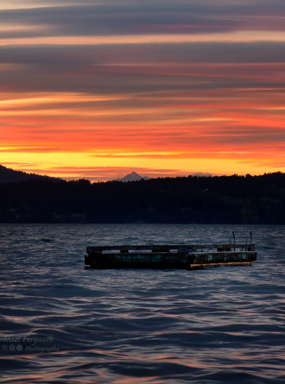 floating dock portrait.jpg