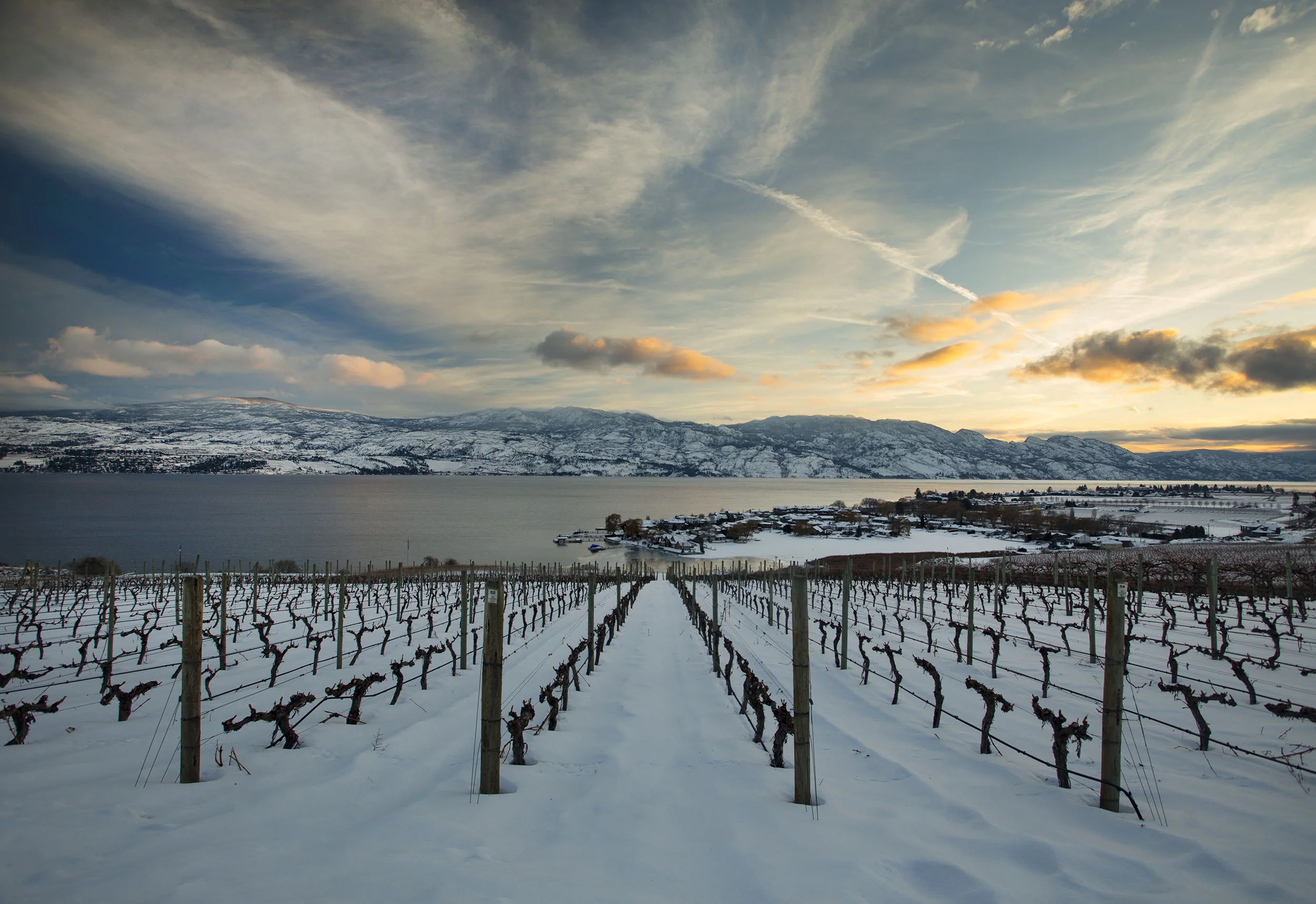 Quails Gate Winter.jpg