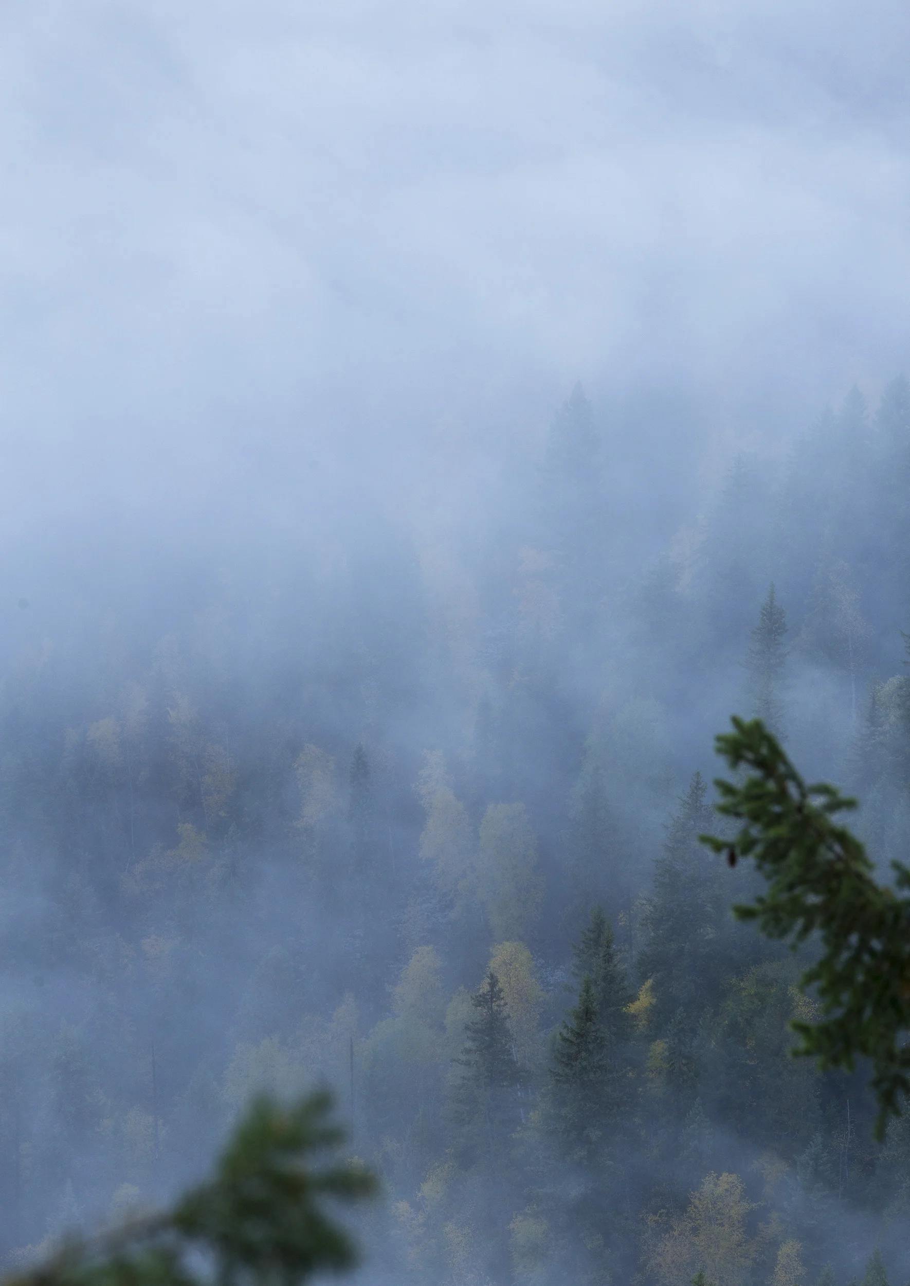Clearwaterfog1.jpg