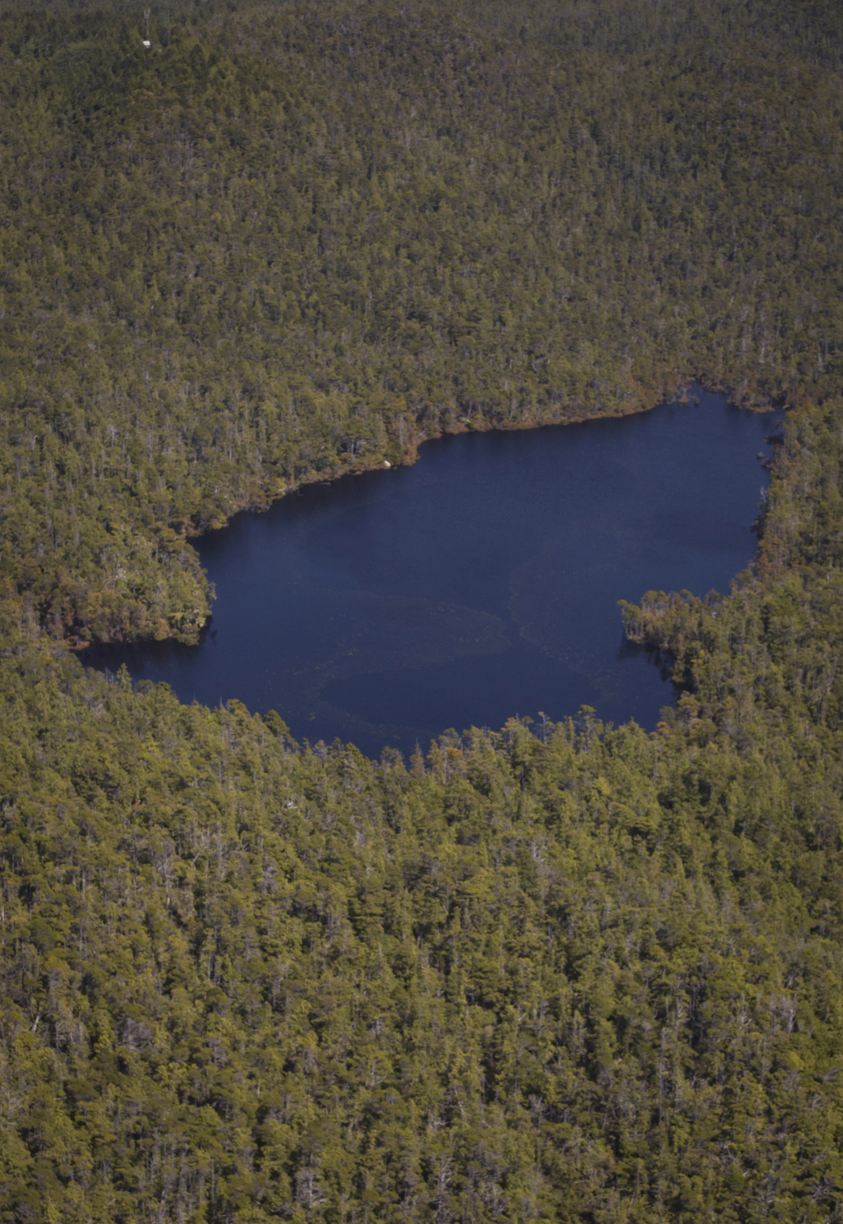 TofinoLake.jpg