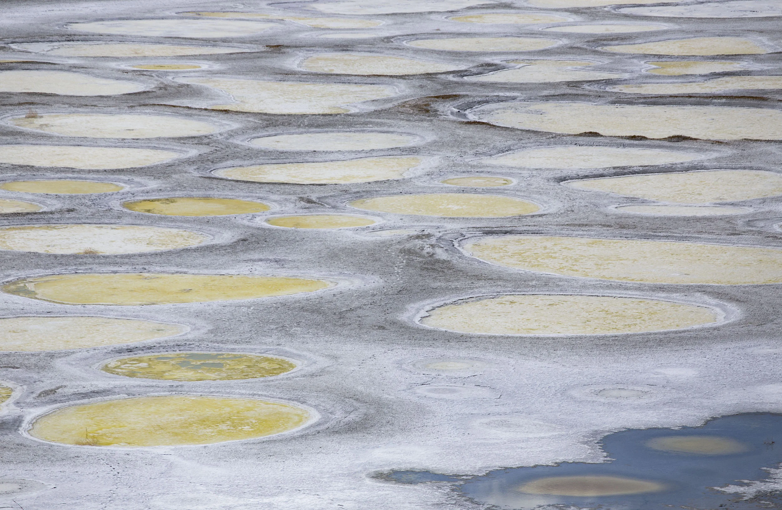 SpottedLake2.jpg