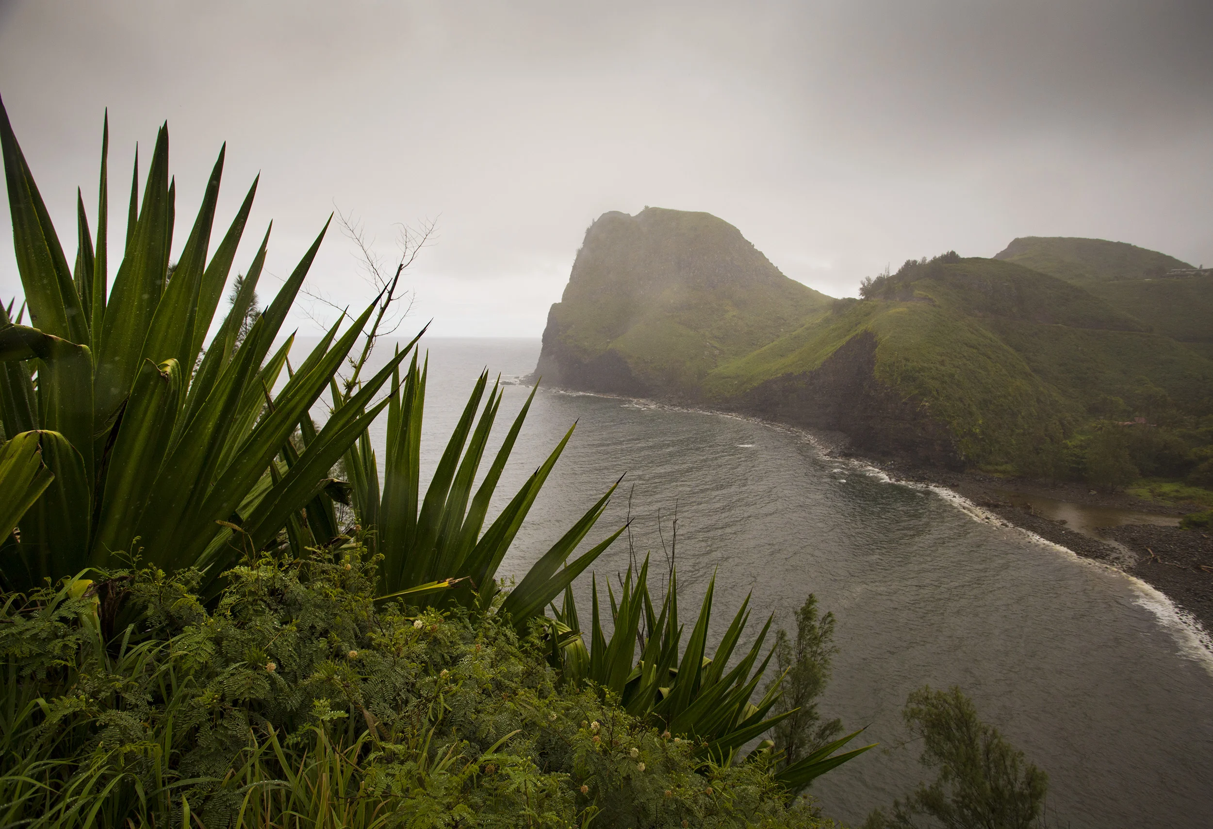 jurassic views.jpg