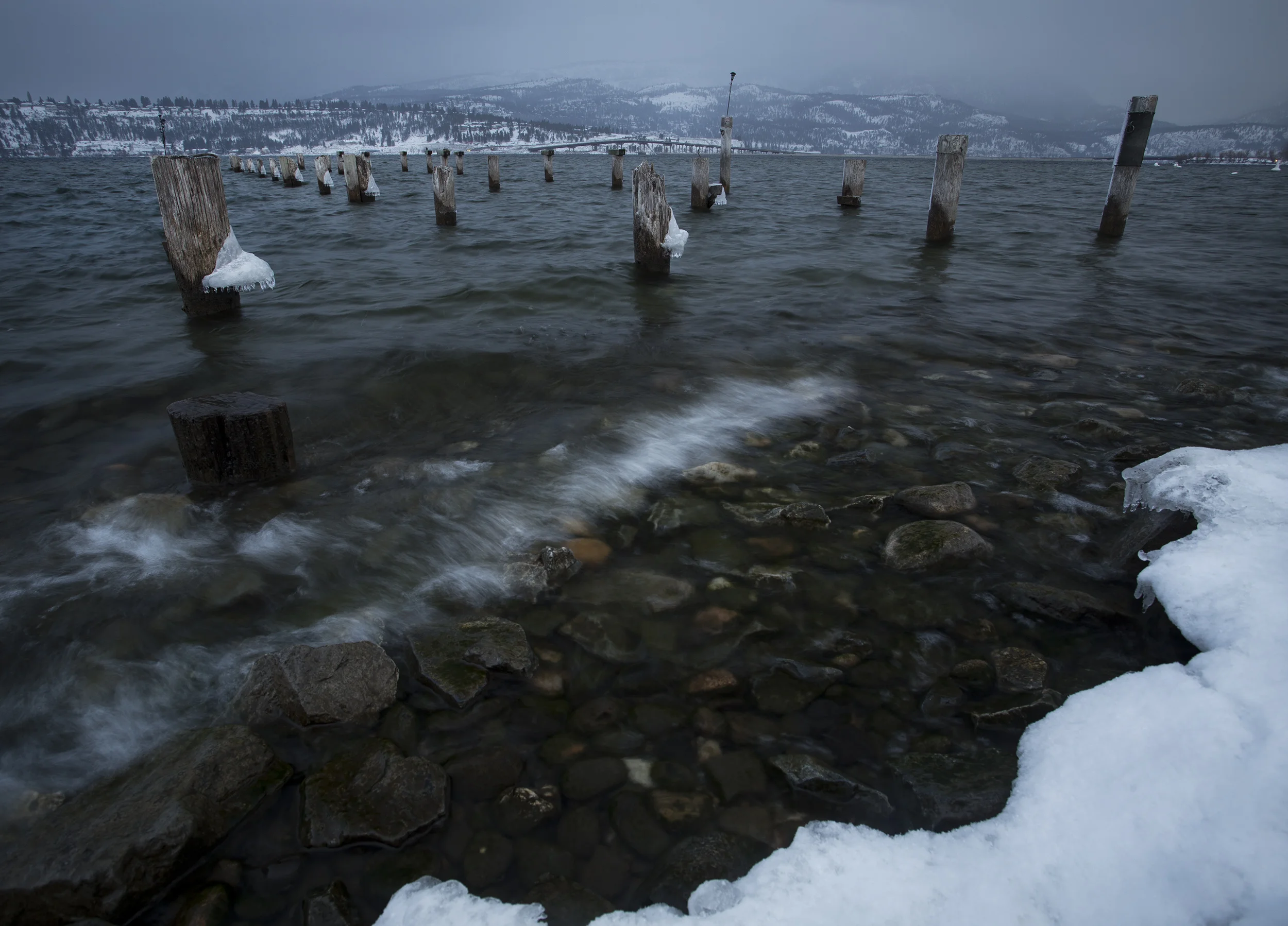 Pilings02-22-19.jpg