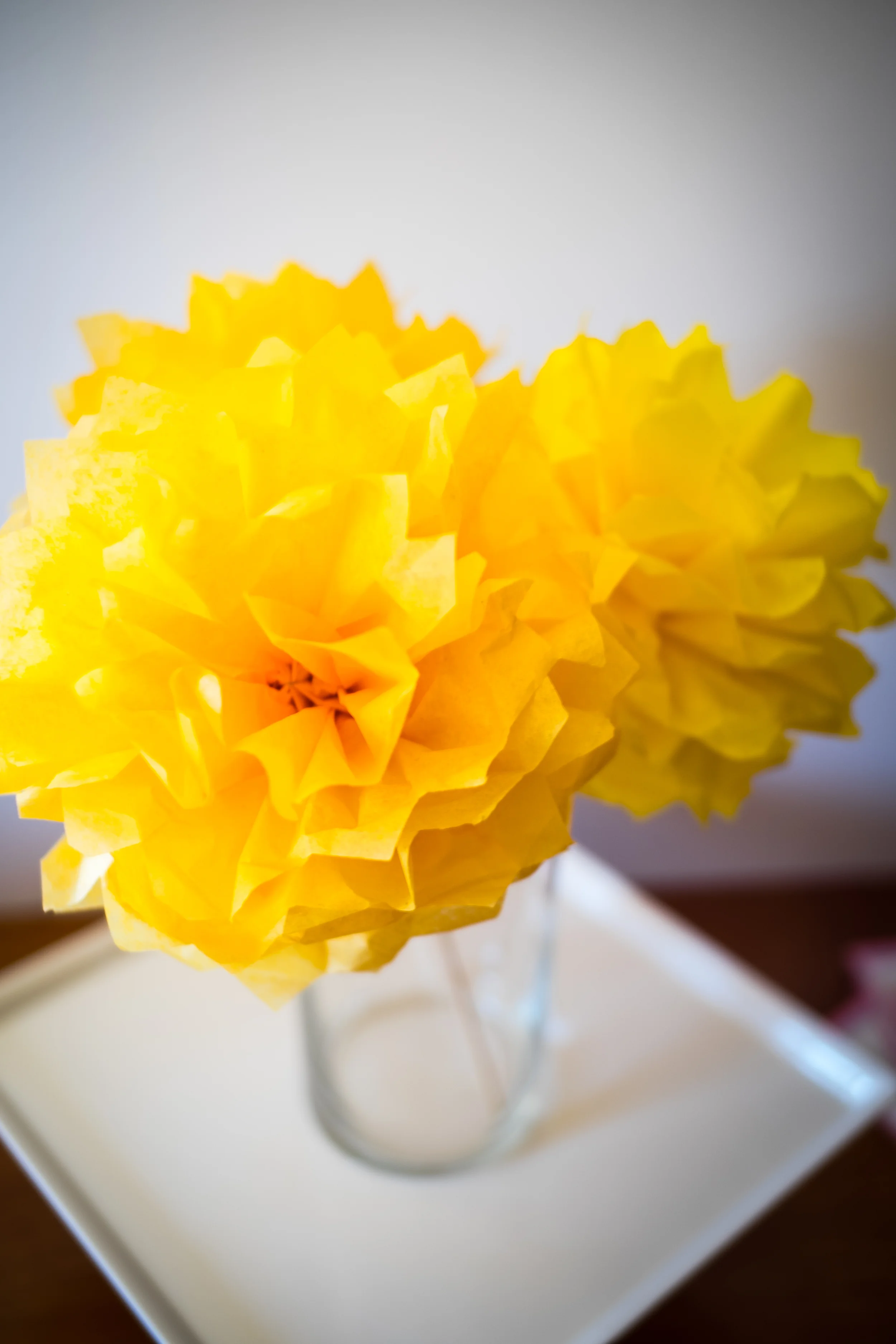 DSCF0416.jpg