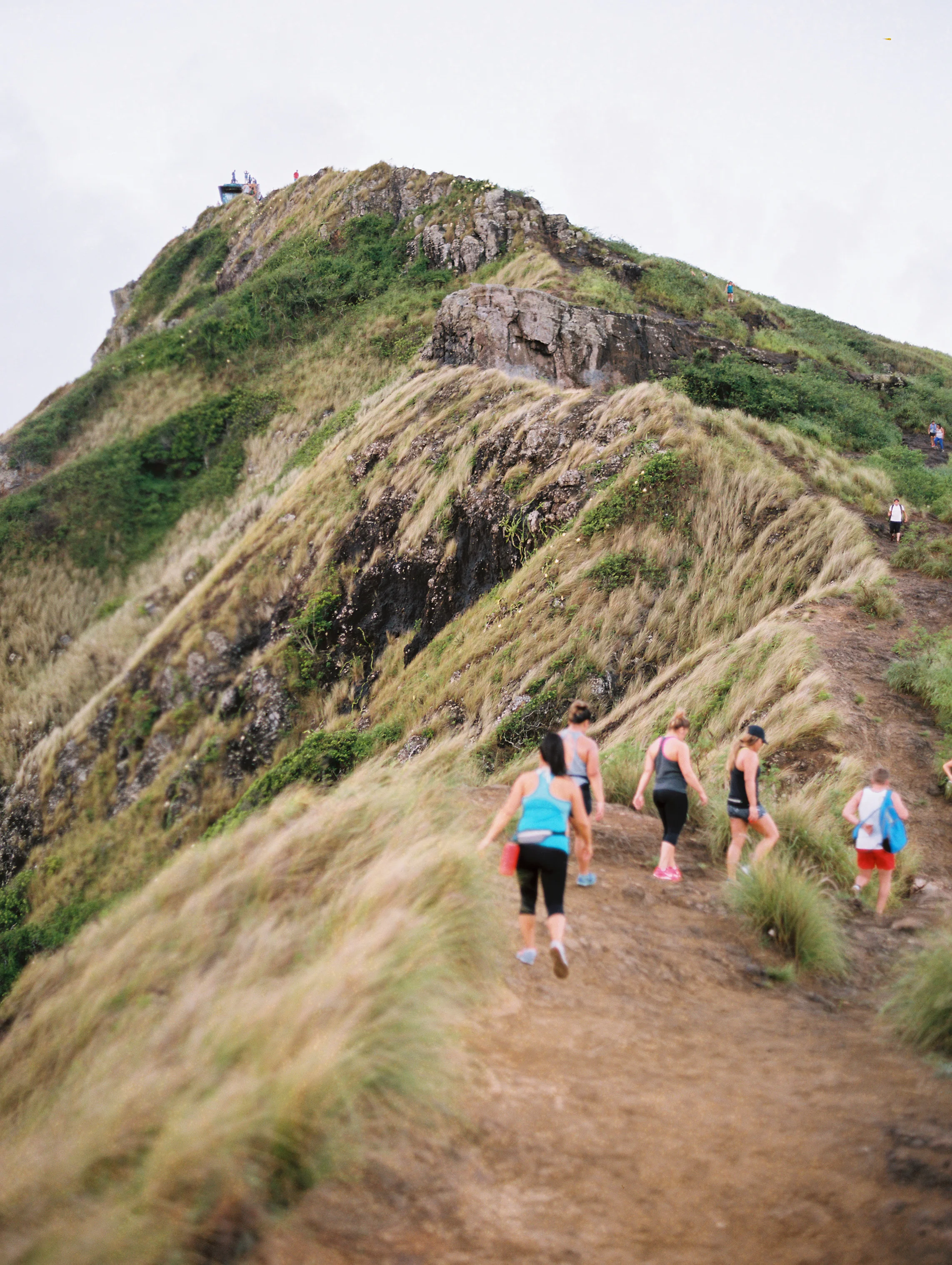 Drop_The_Dell_Hawaii_Pillbox-6.jpg