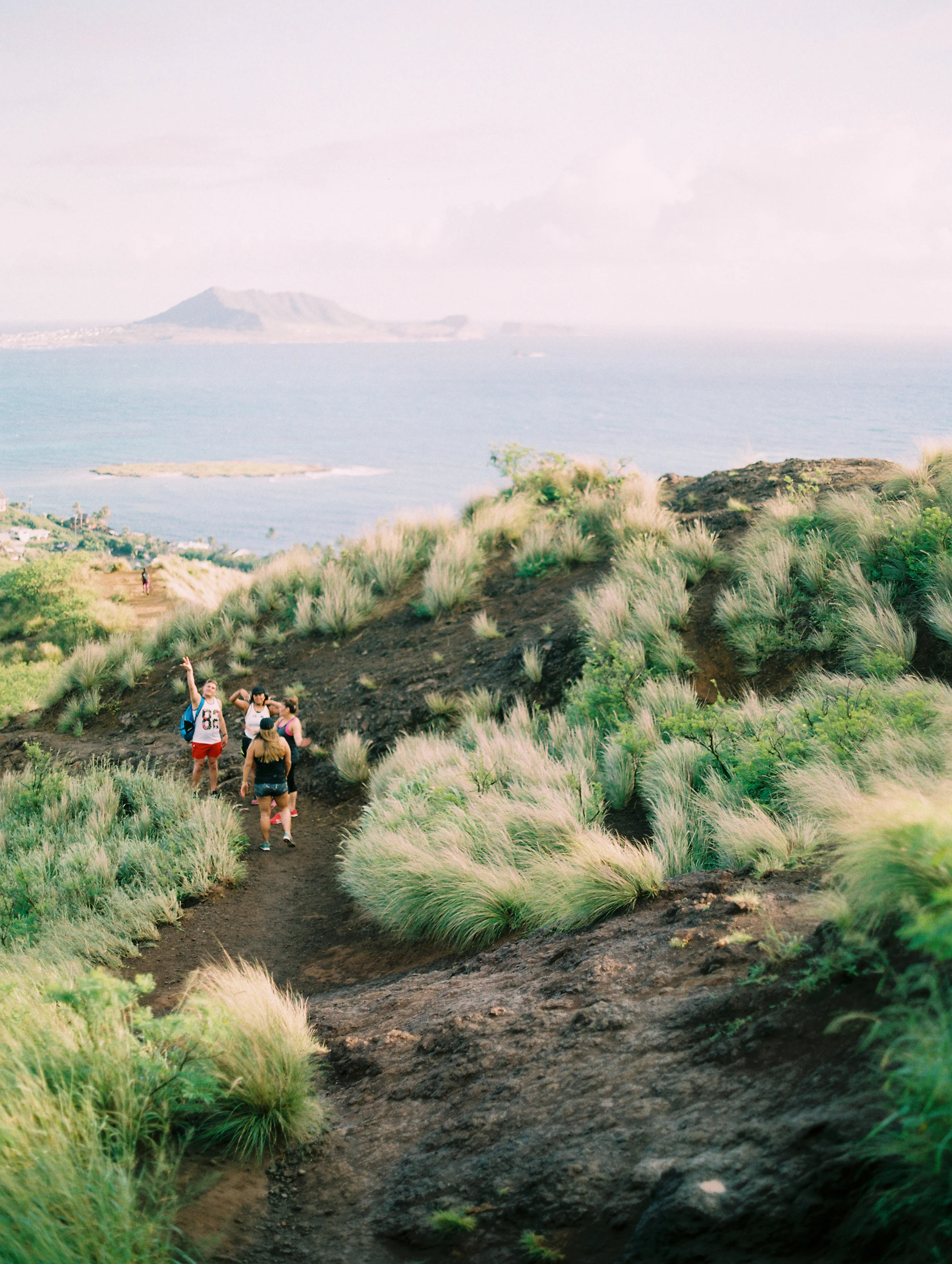 Drop_The_Dell_Hawaii_Pillbox-17.jpg