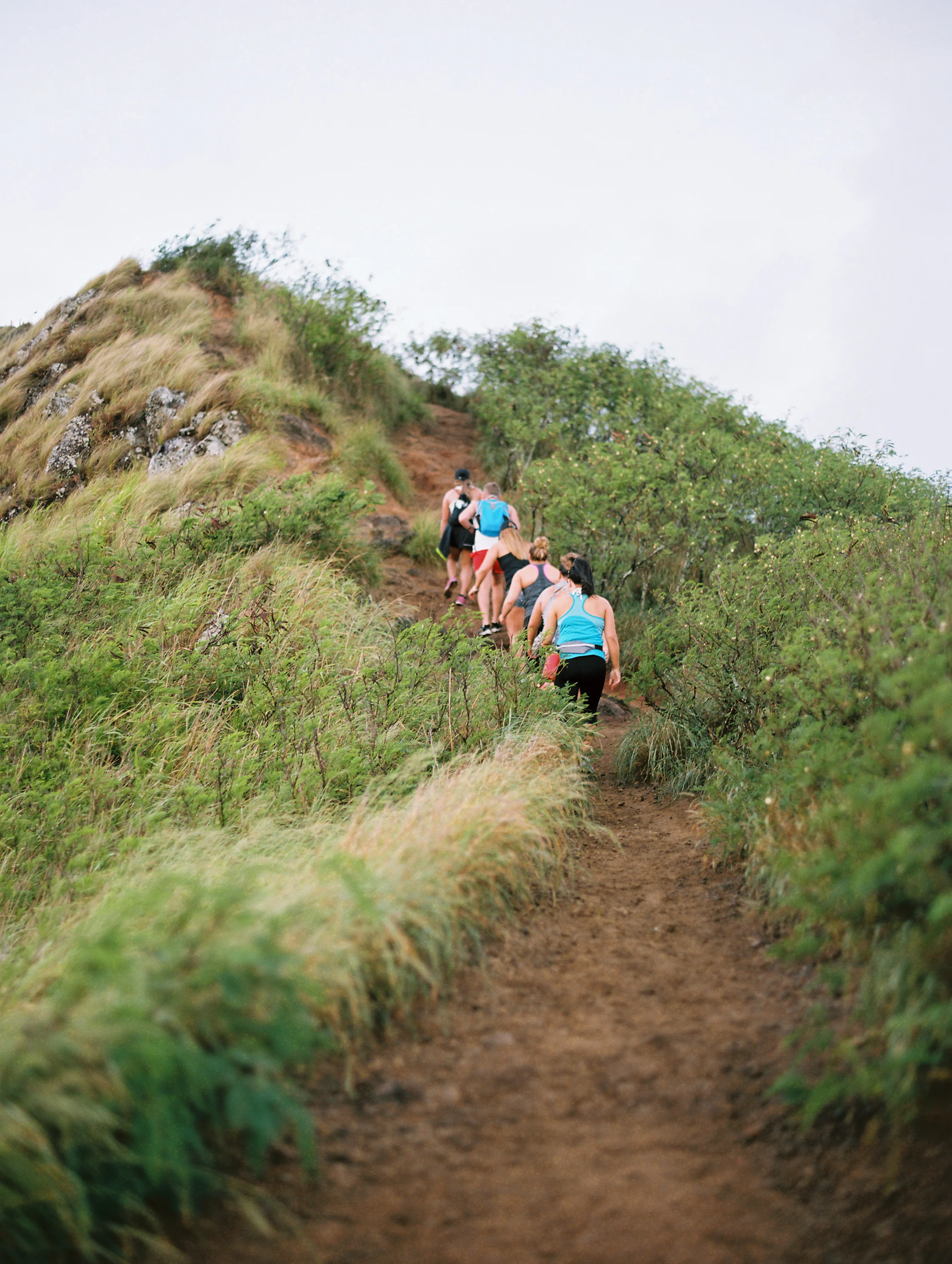 Drop_The_Dell_Hawaii_Pillbox-32.jpg