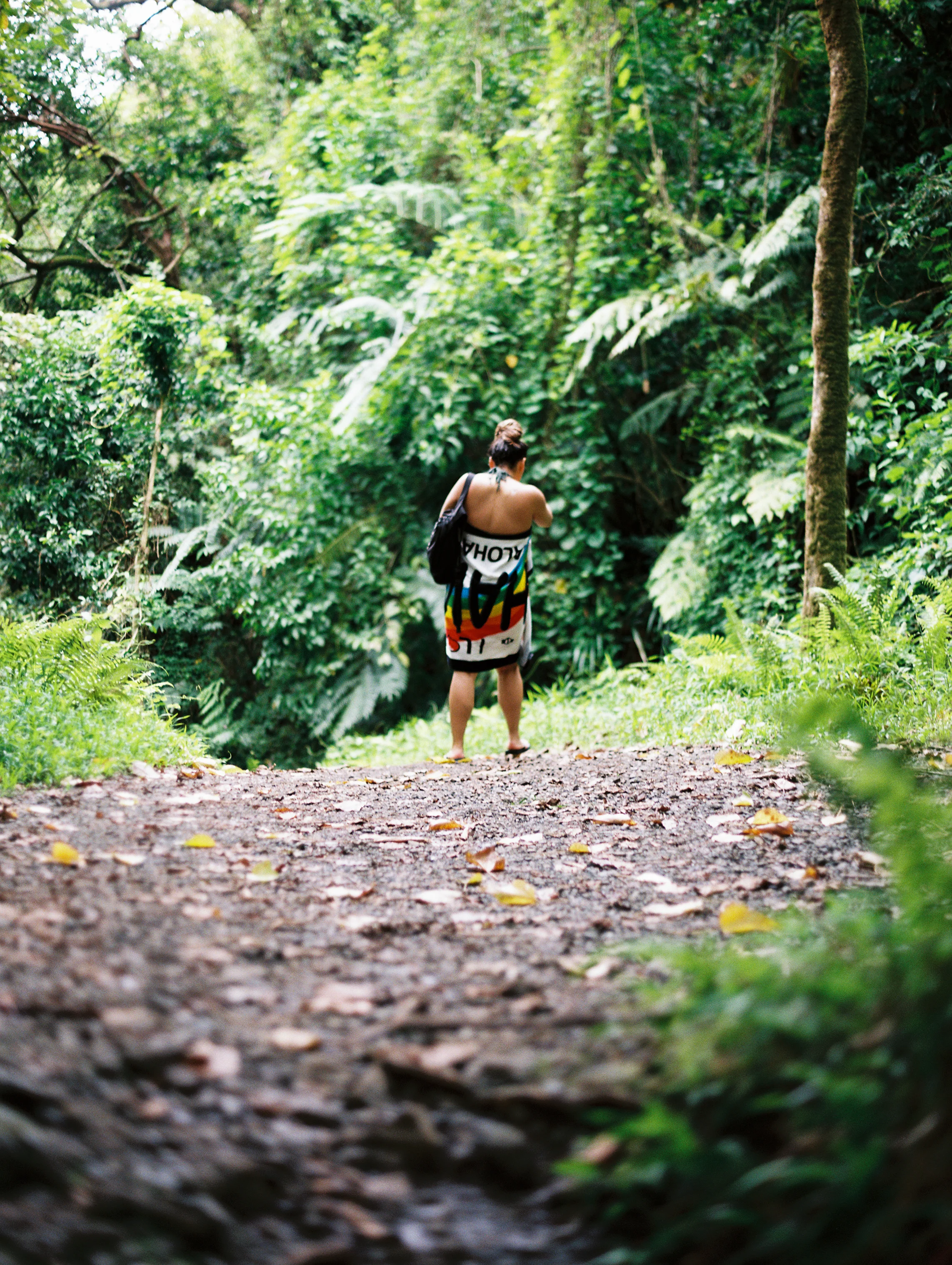 Drop_The_Dell_Hawaii-15.jpg