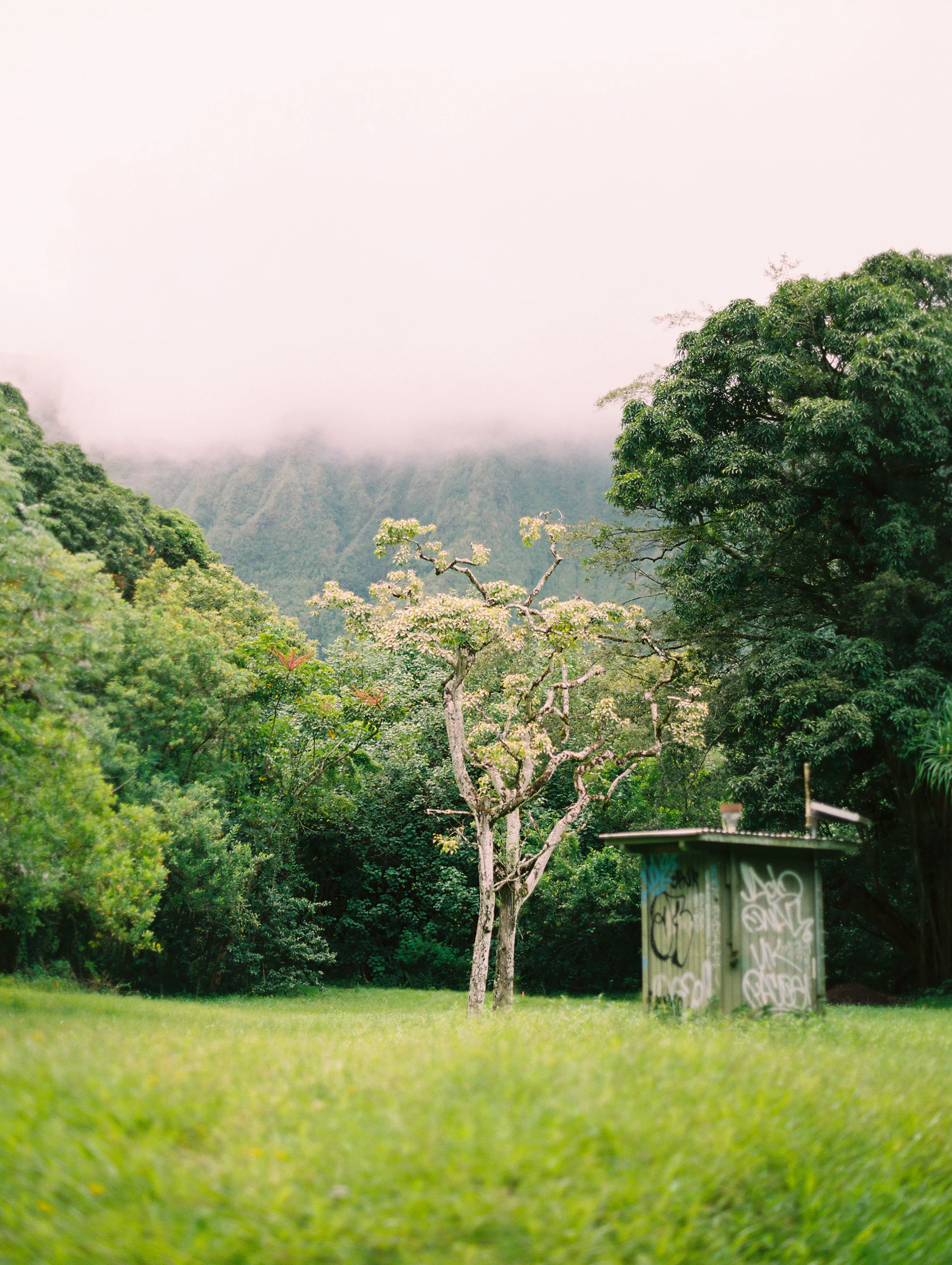 Drop_The_Dell_Hawaii-25.jpg