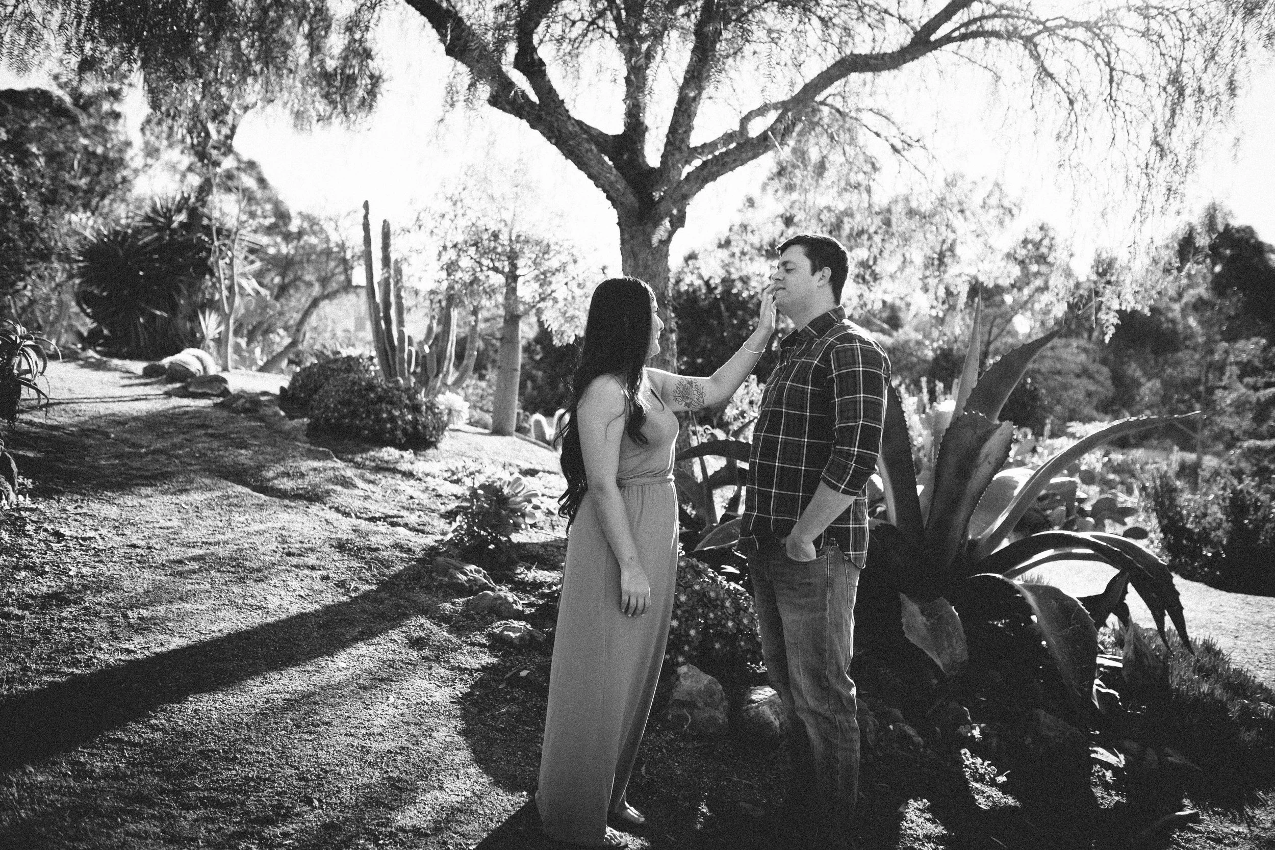 Chris_Cress_Cactus-1.jpg