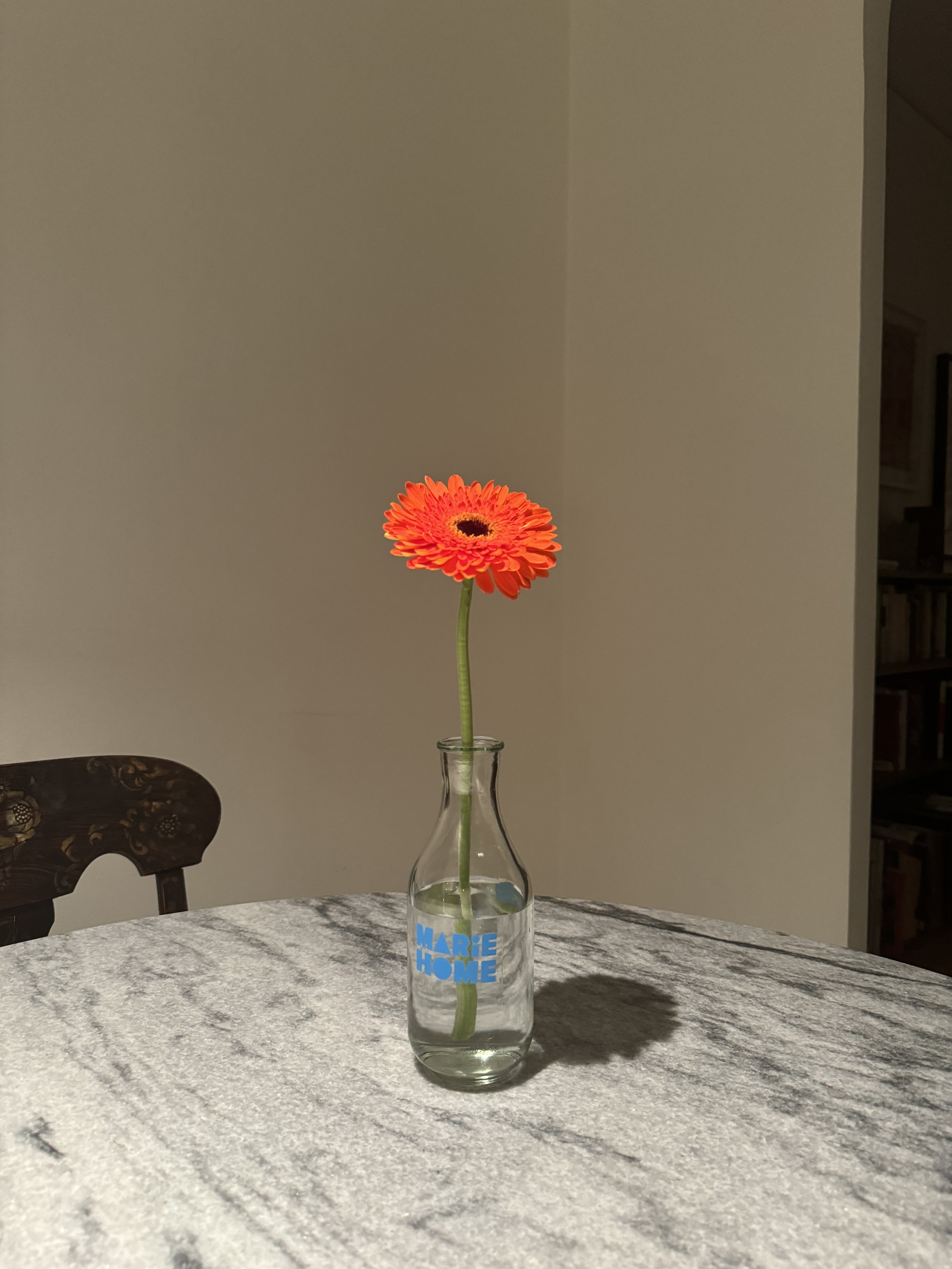 IMG_4910.jpeg