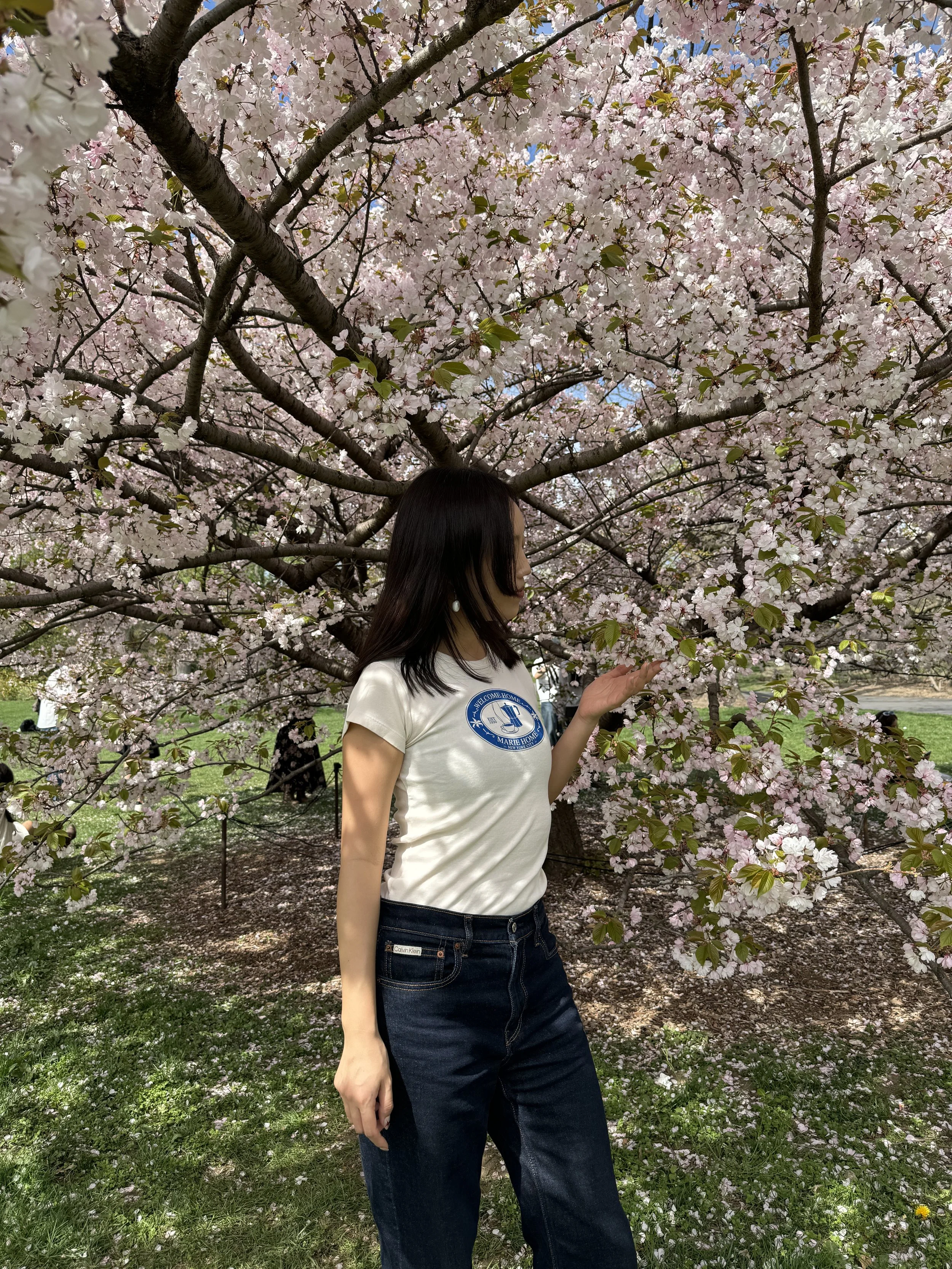IMG_3262.jpeg