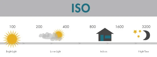 ISO.jpg
