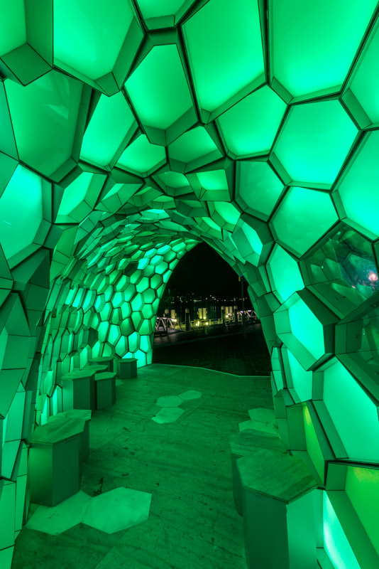 VIVID-cell_tess-01-photo-by-Patrick-Boland.jpg