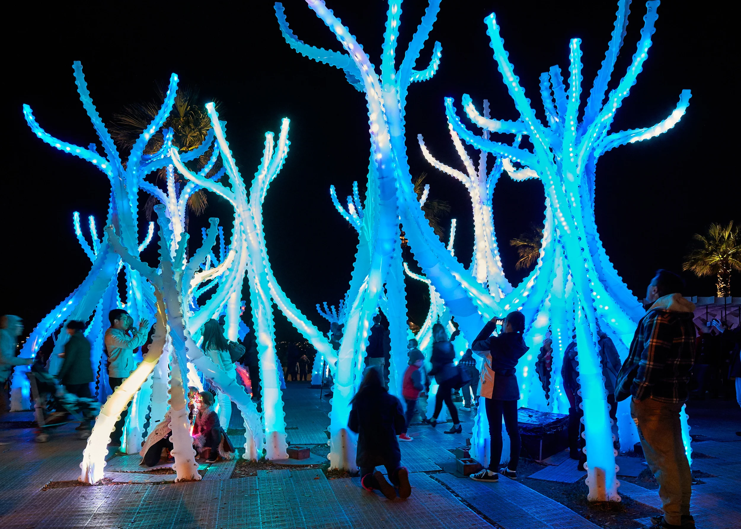 150630 Arclight Vivid 2015 1397.jpg