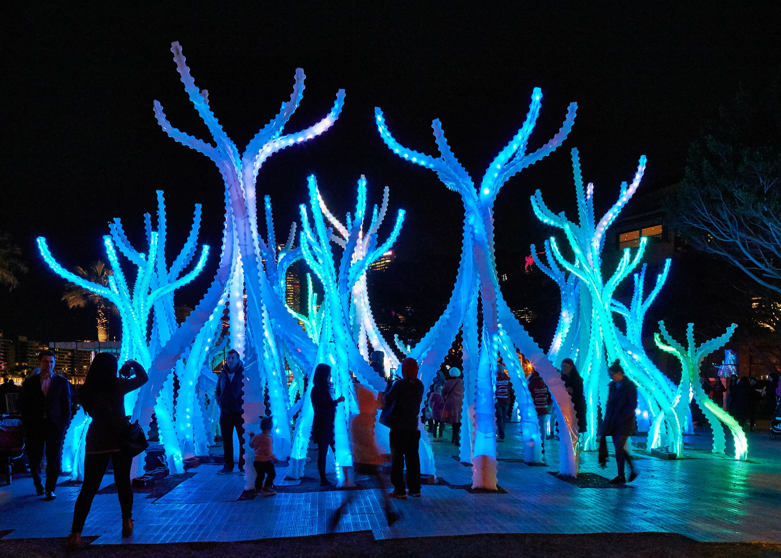 150630 Arclight Vivid 2015 1335.jpg