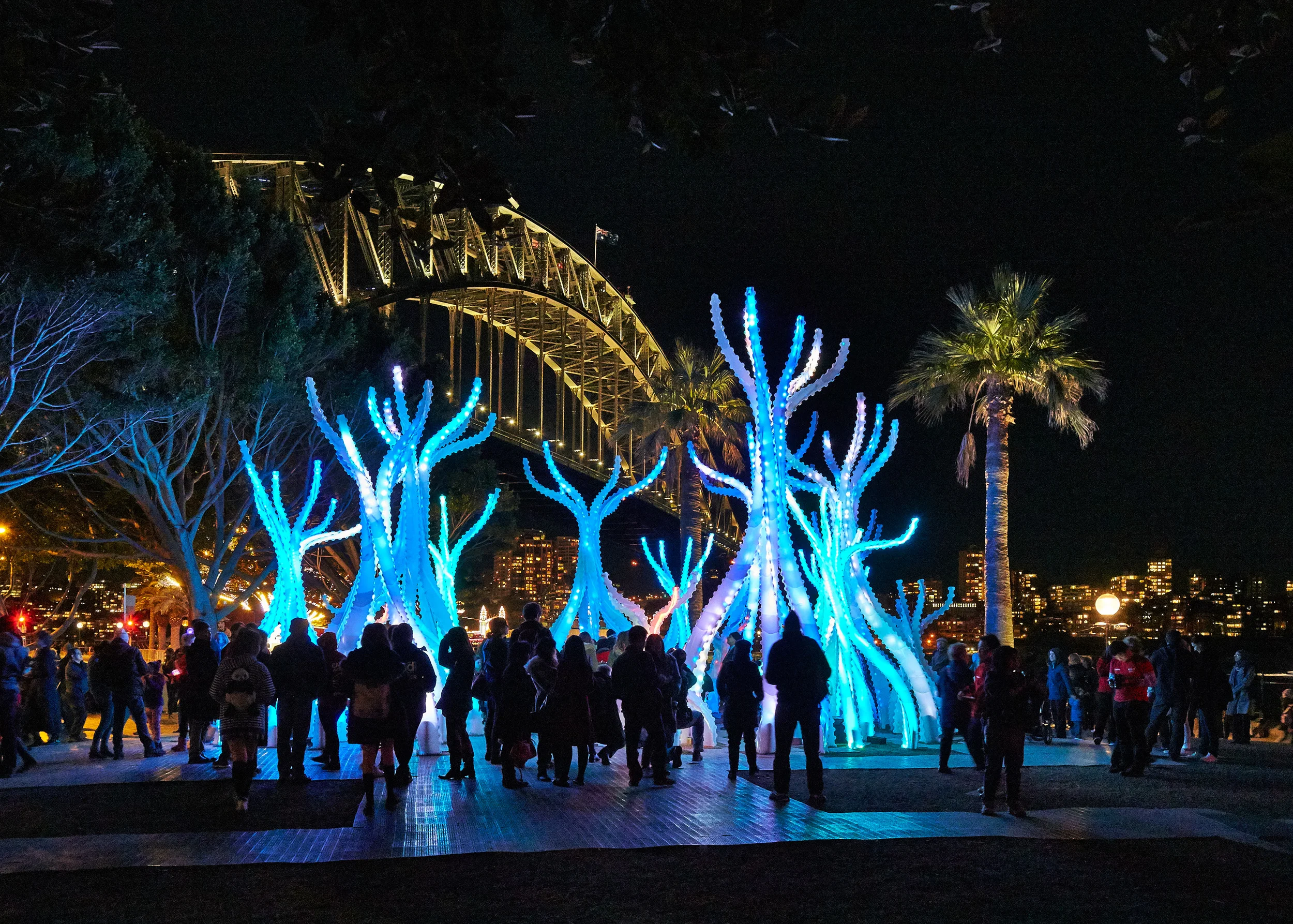150630 Arclight Vivid 2015 1491.jpg