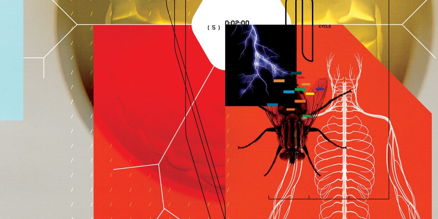 On the Neural Frontier