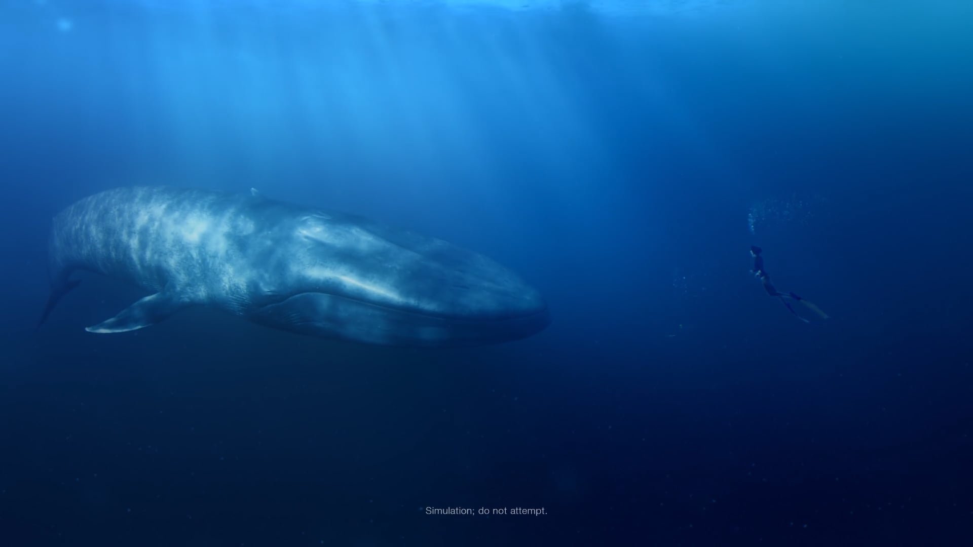 FITBIT Blue Whale
