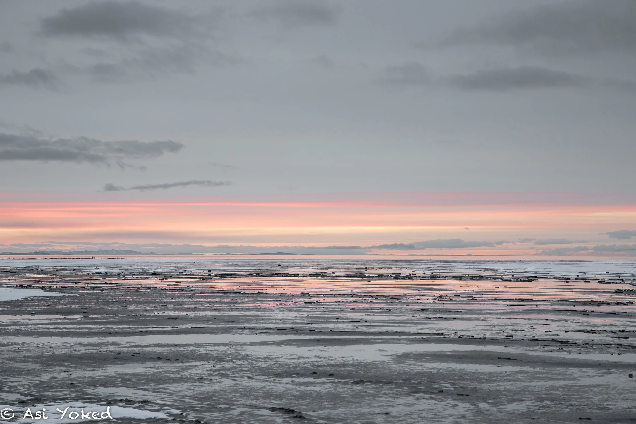 A wide view of a beach at sunset with a pink and purple sky, dark clouds, and calm water with patches of wet sand and seaweed.