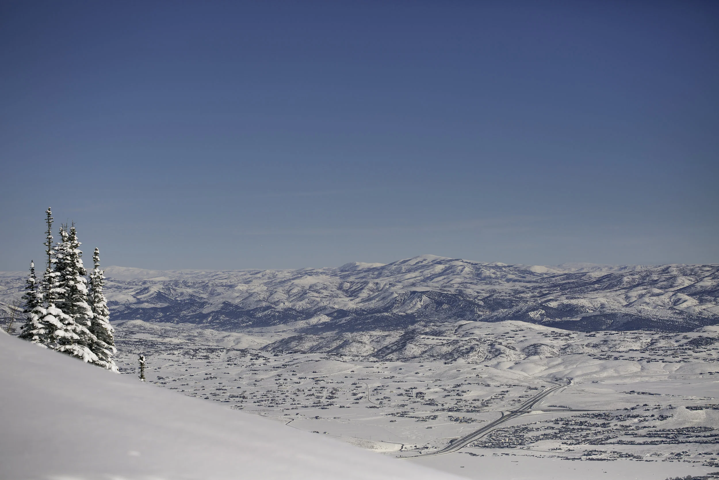 _Z5A0353.jpg
