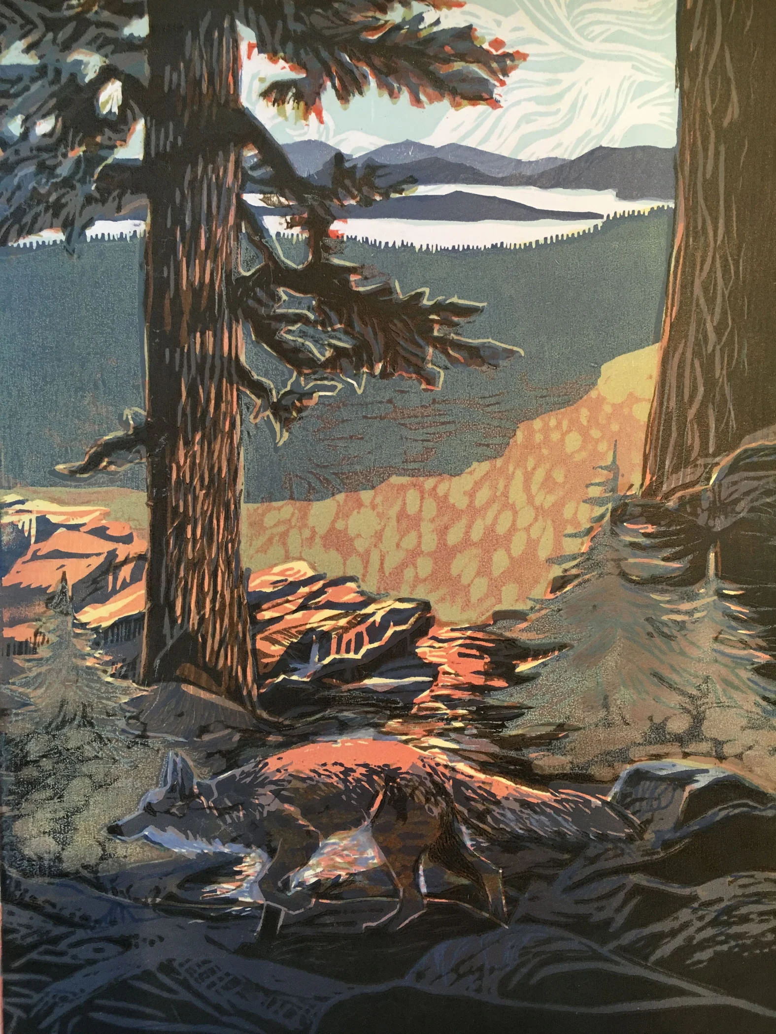 "Glimpse of Sierra Nevada Fox and Lake Almanor ©2015