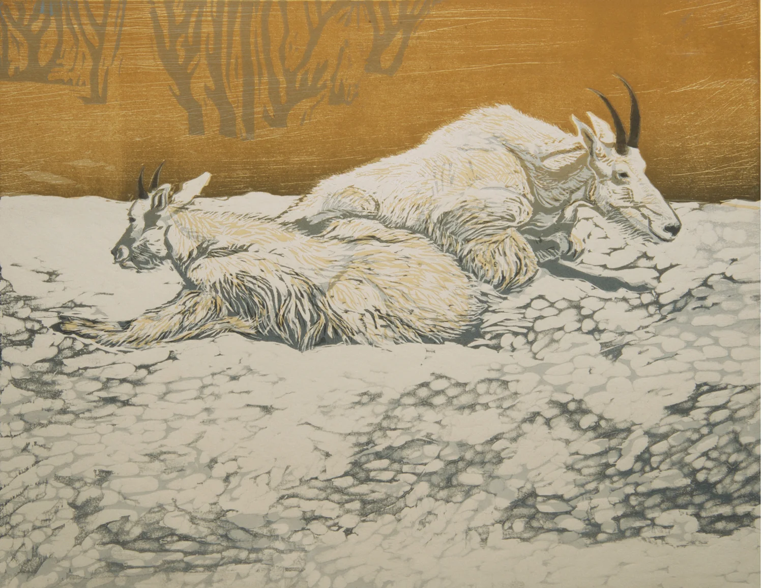 Mountain Goats on Ice ©whipplesmith plank