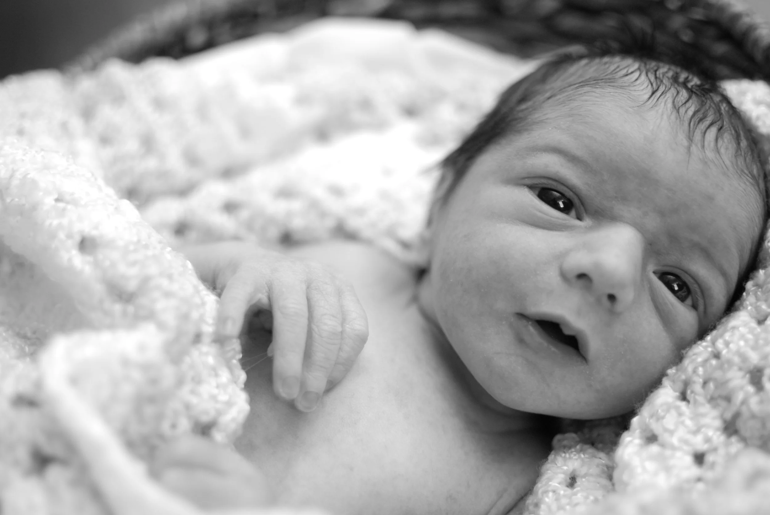 DSC_0708bw.jpg