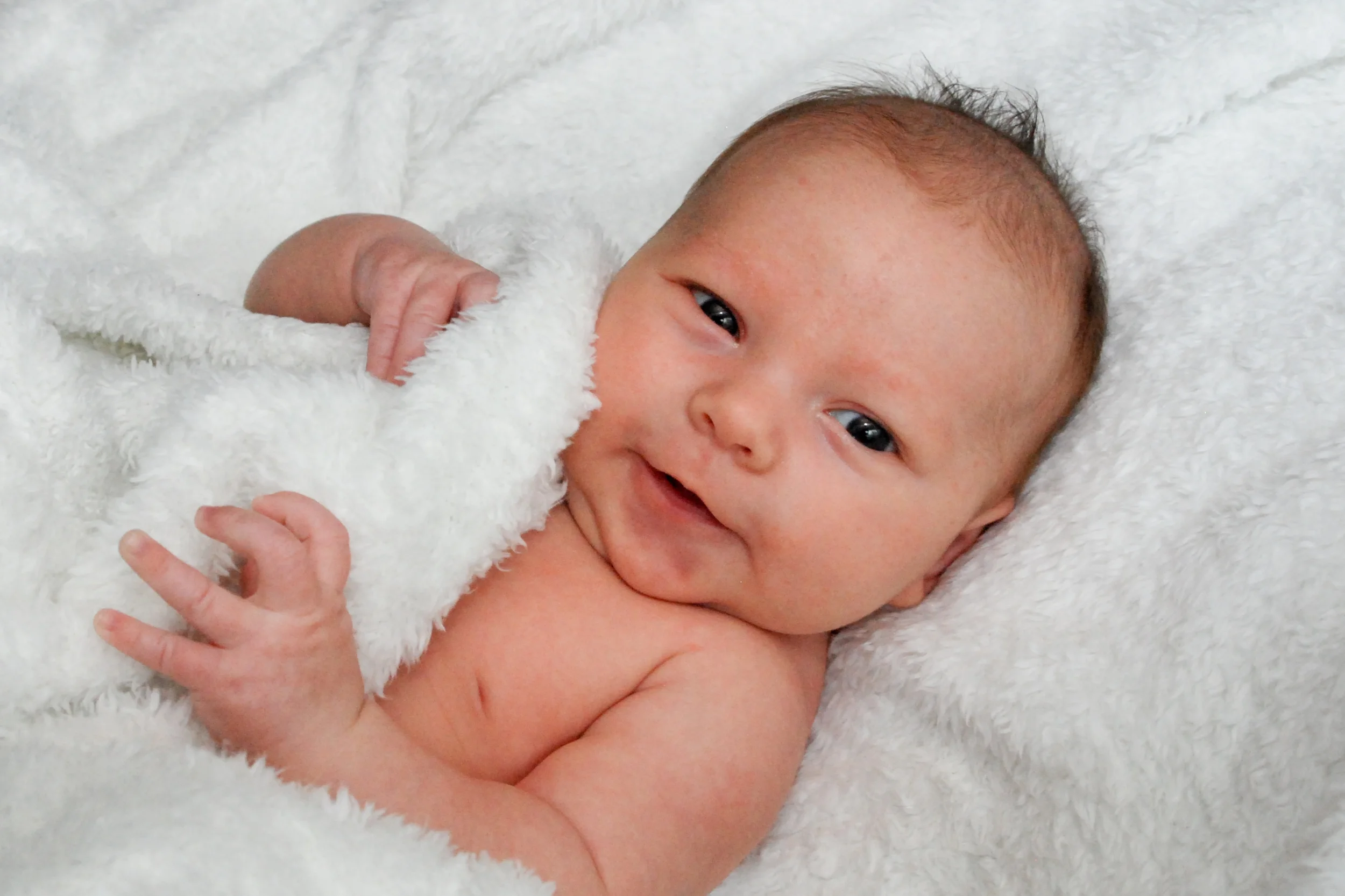 Ellie_8wks_cute.jpg
