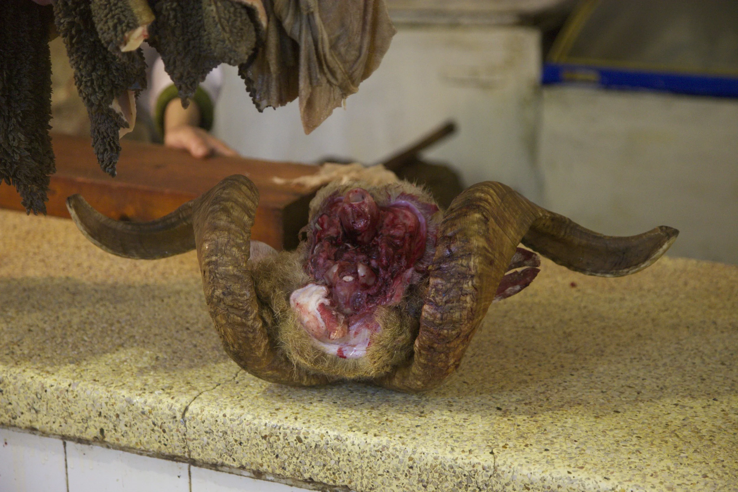 Ram's brain, anyone? (In Tangier.)