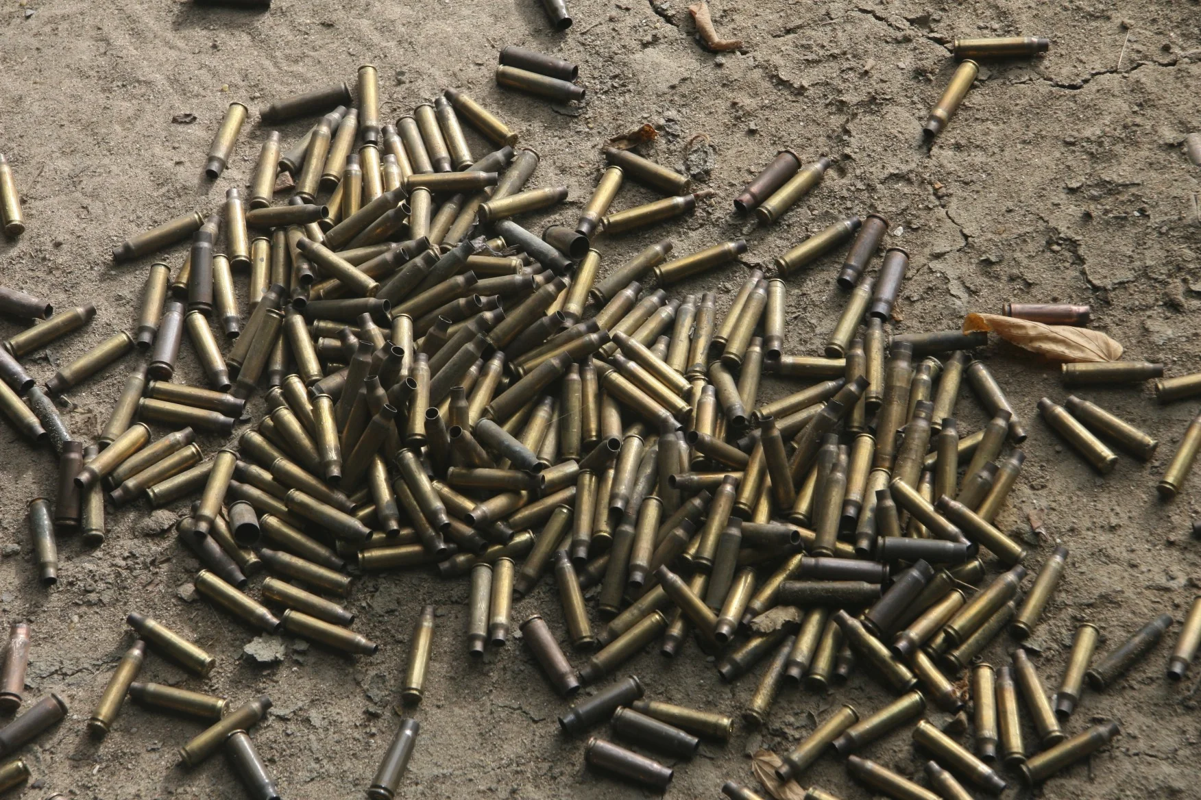 Shells after we shot at a target.