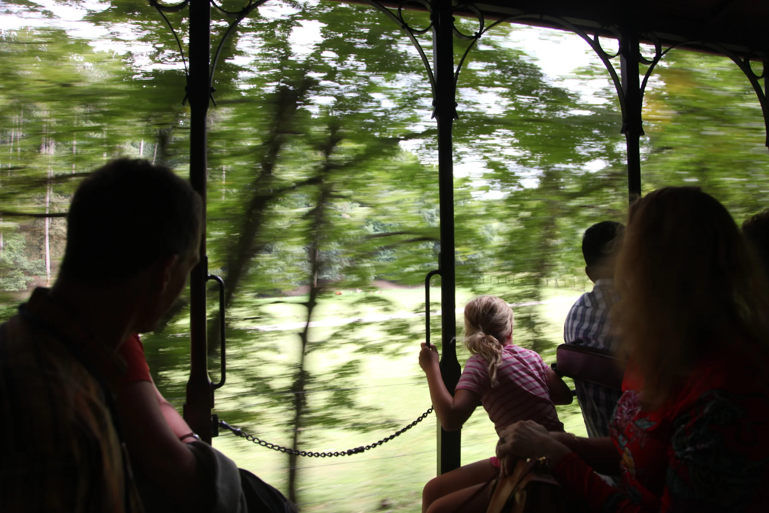 On the tram to the Grottes de Han, Belgium’s answer to Luray Caverns.