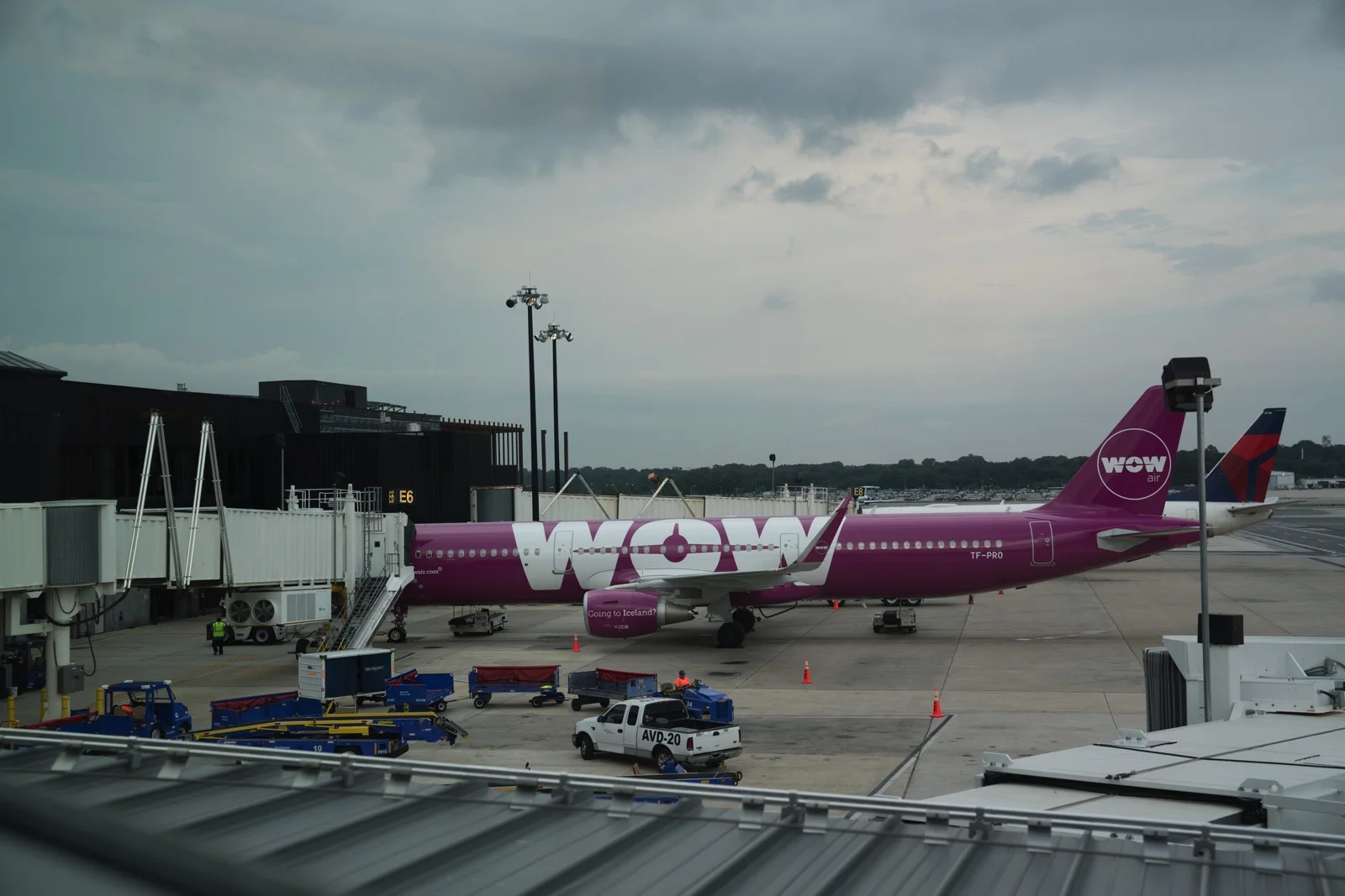 We entrusted our lives to this Barney-colored jet. (Dulles, Virginia, United States.)