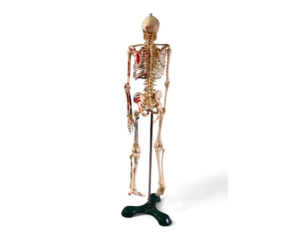 Screenshot 2024-04-20 at 3.32.30 PM.jpeg