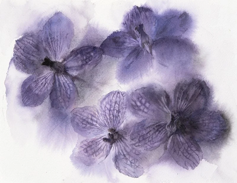 Purple Orchids 2