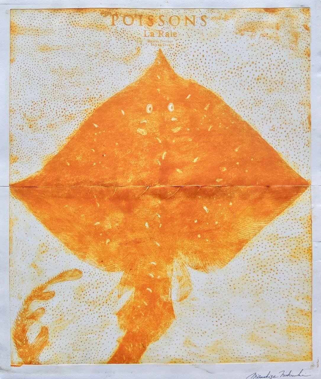 Poisson.Stingray.17.5x20.75.jpg