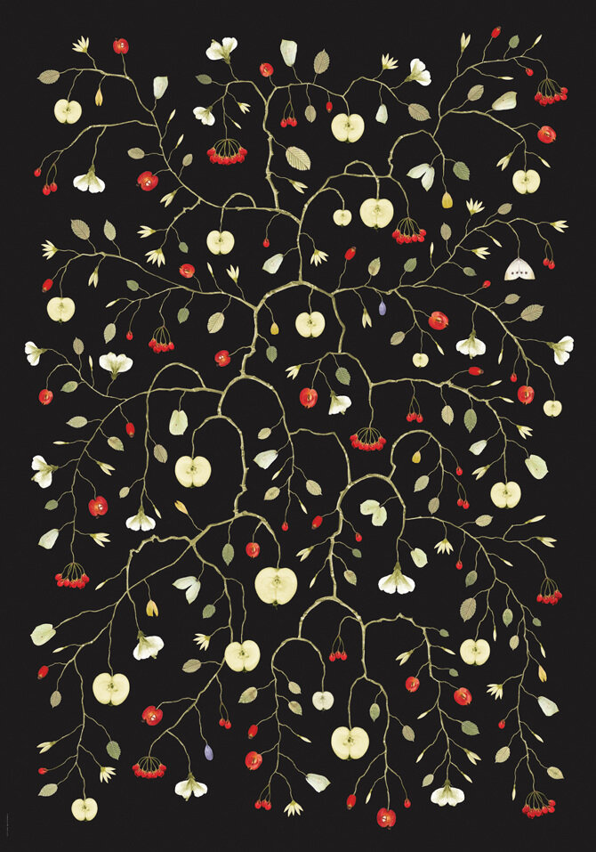 Apple Blossom – Appleblom