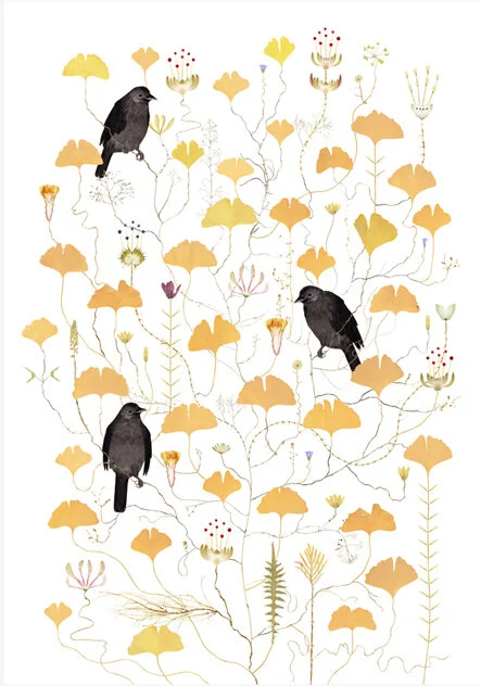 Crow Tree copy.jpg